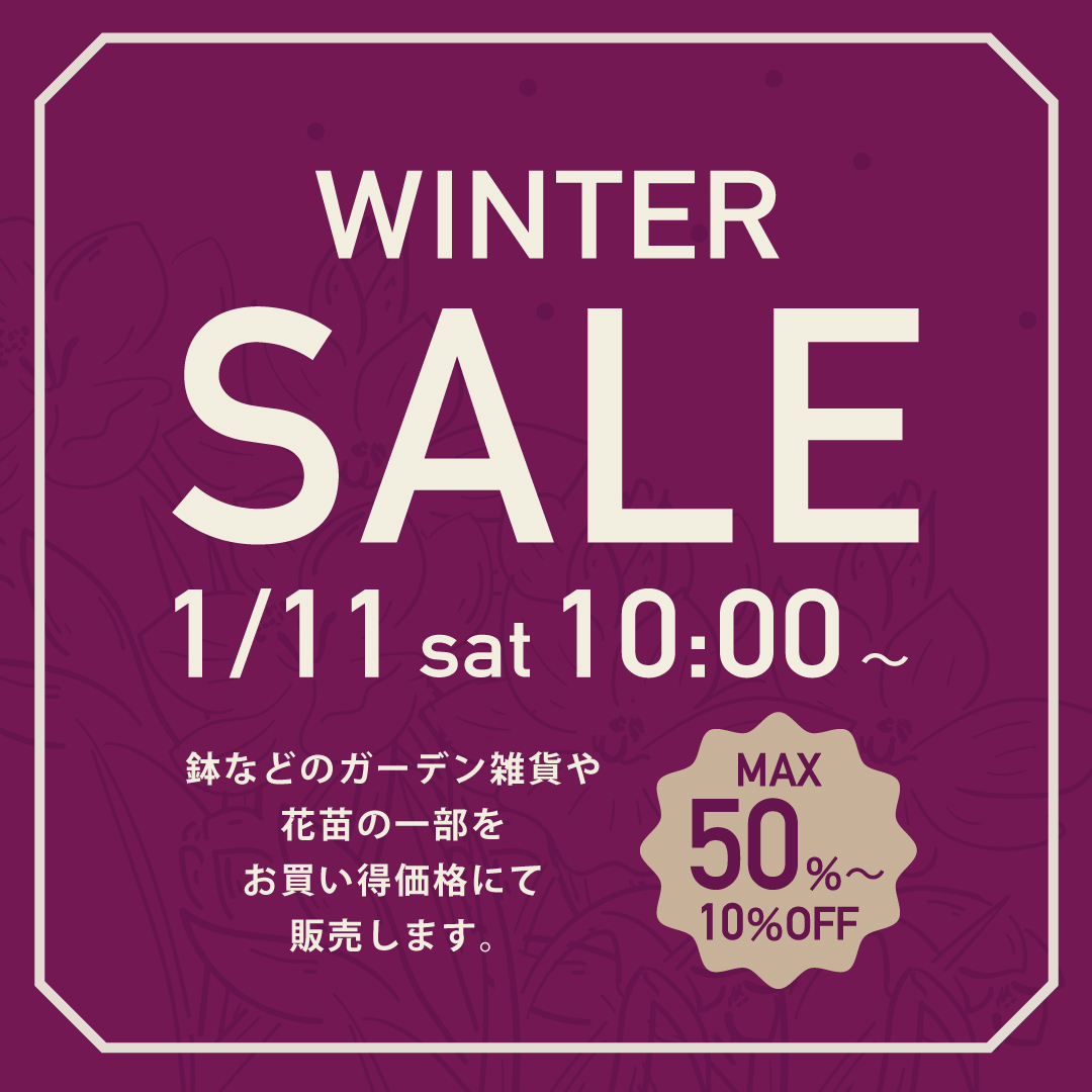 【実店舗】WINTER SALE !!!!!
