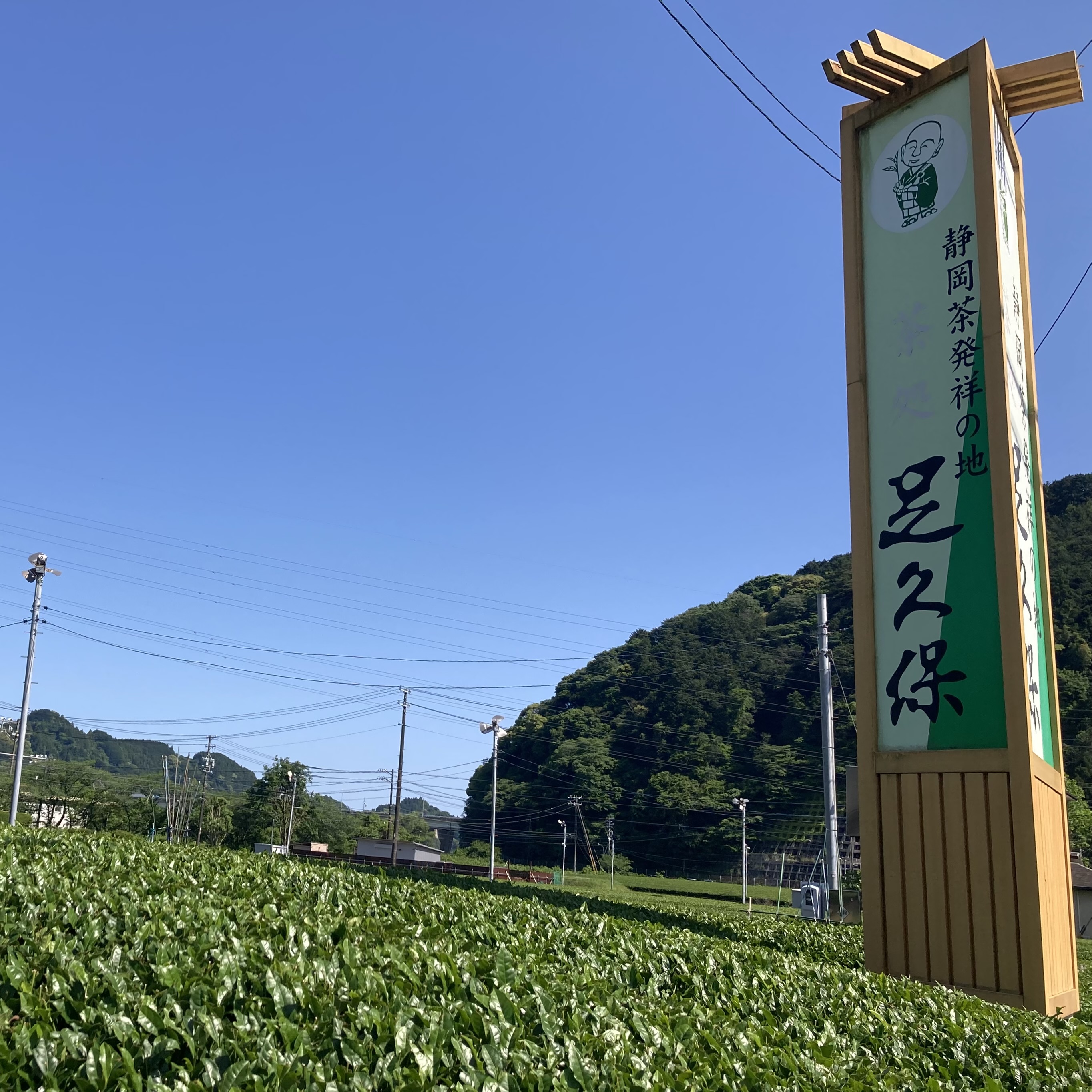 静岡茶発祥の地