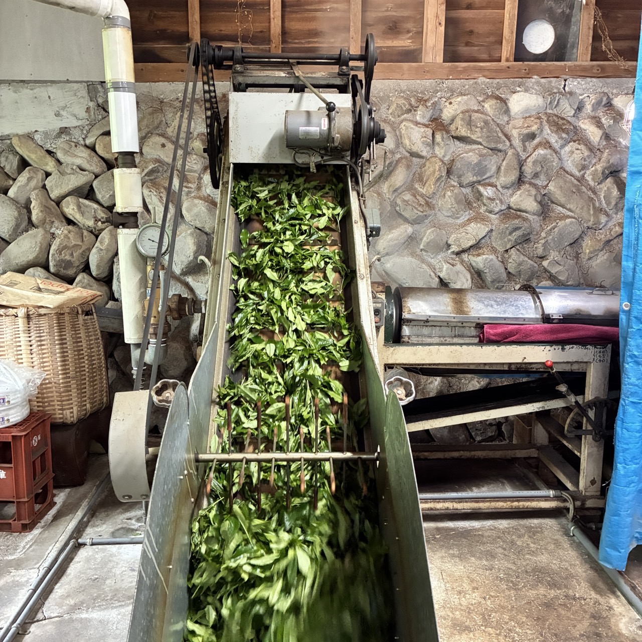 ザ・バックヤード-お茶工場探索 前編-