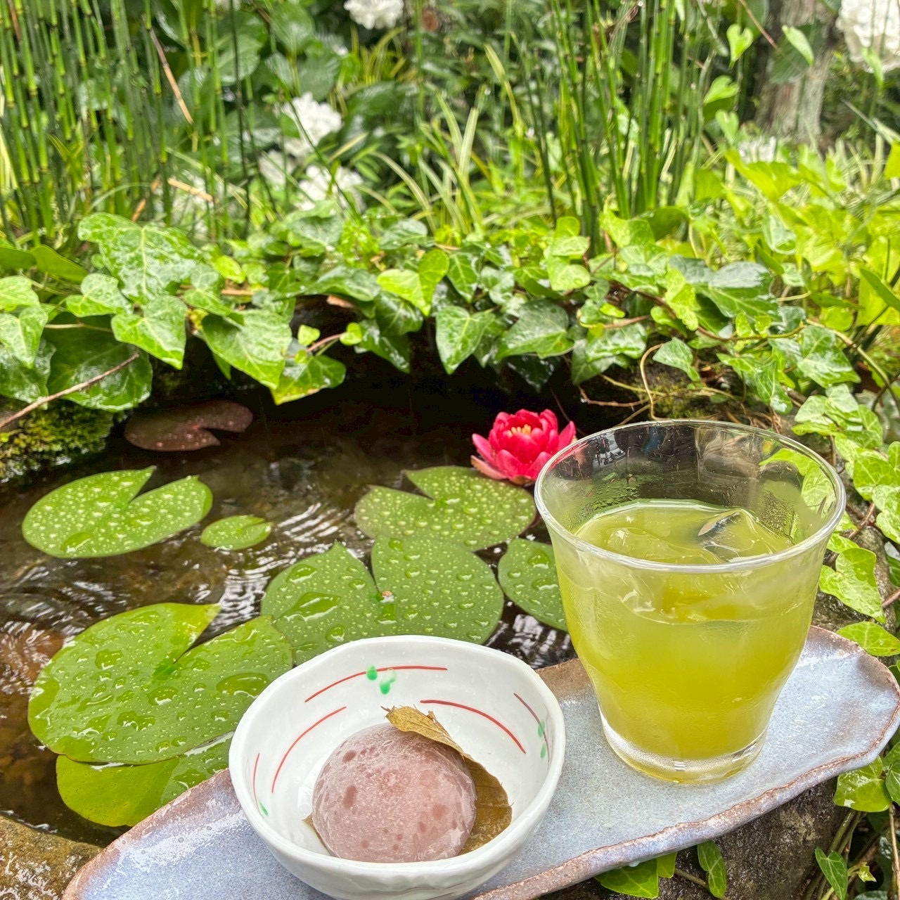 二番茶販売開始のお知らせ