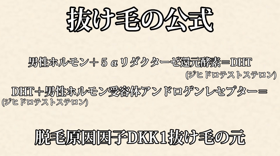シャンプーくらいは良いの使おうよ(^^)