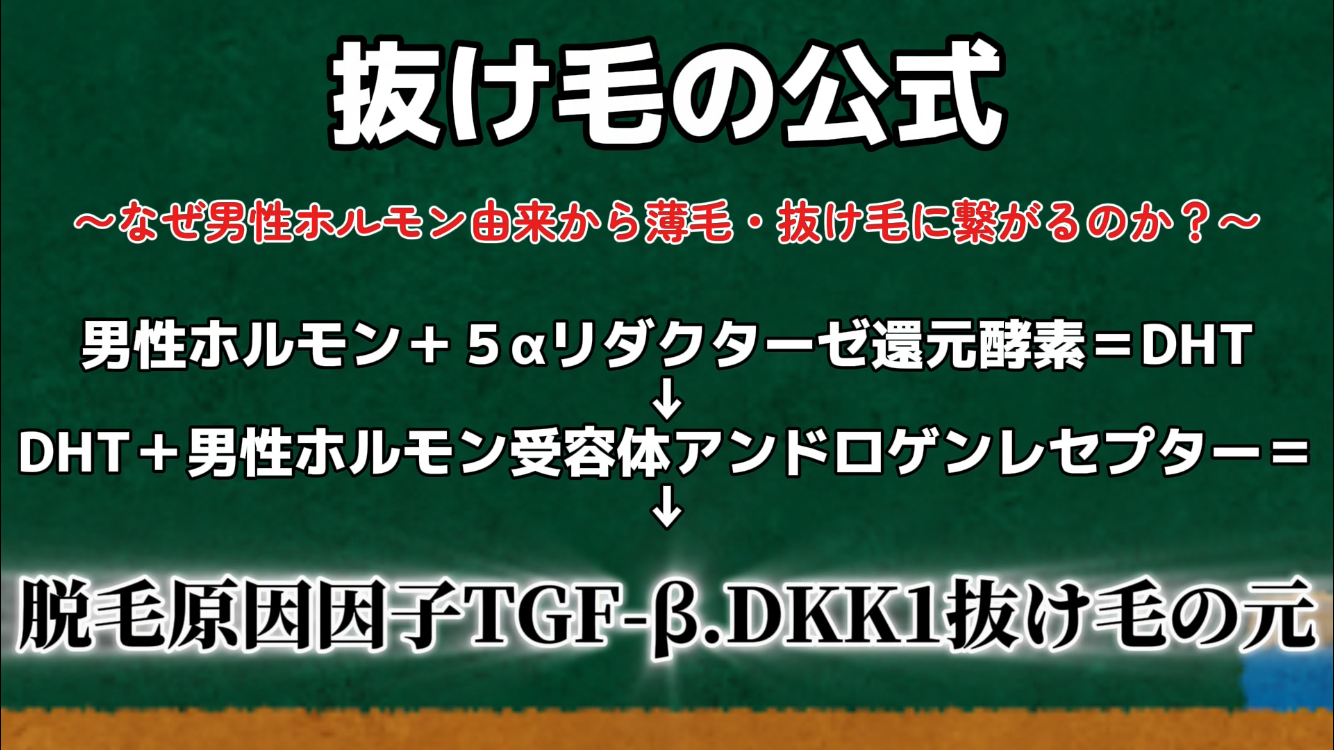 リアリーブ　アナタシャンプーで抜け毛は減らせるかもしれません！