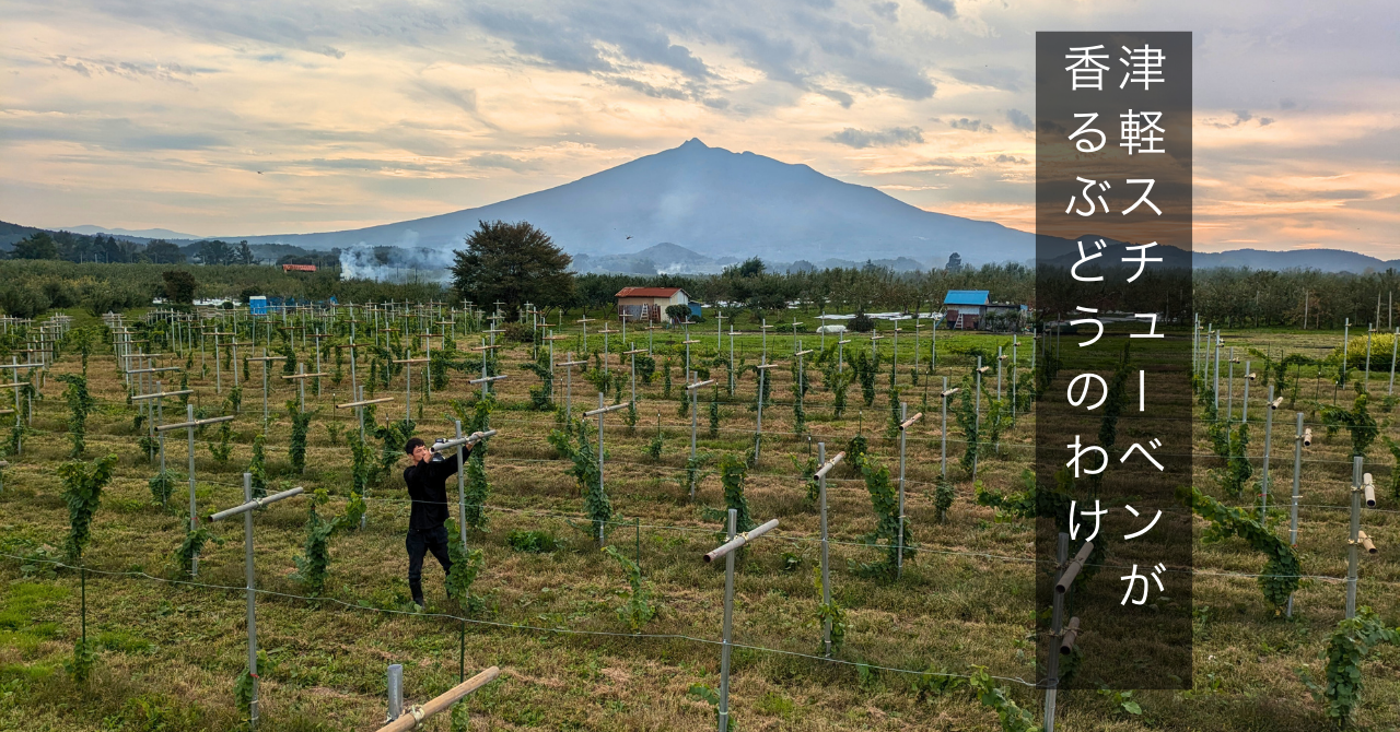 【スチューベンを知る③】なぜ、津軽のスチューベンは“香る”が豊かなのか