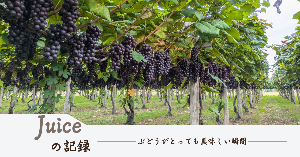熟した葡萄とは？美味しいジュースが生まれる秘密