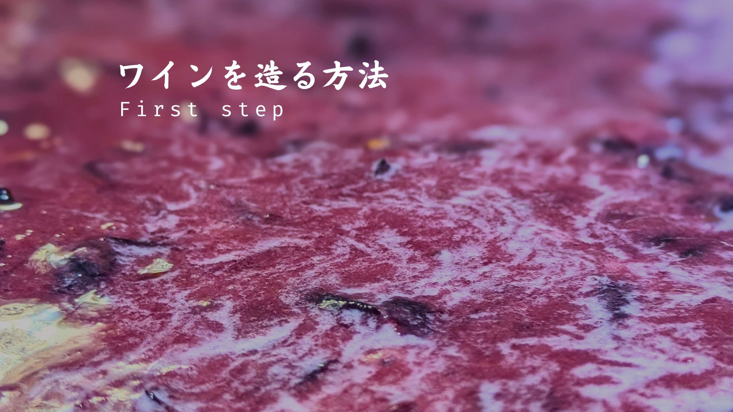 ワインの造り方法とは 〜First step~