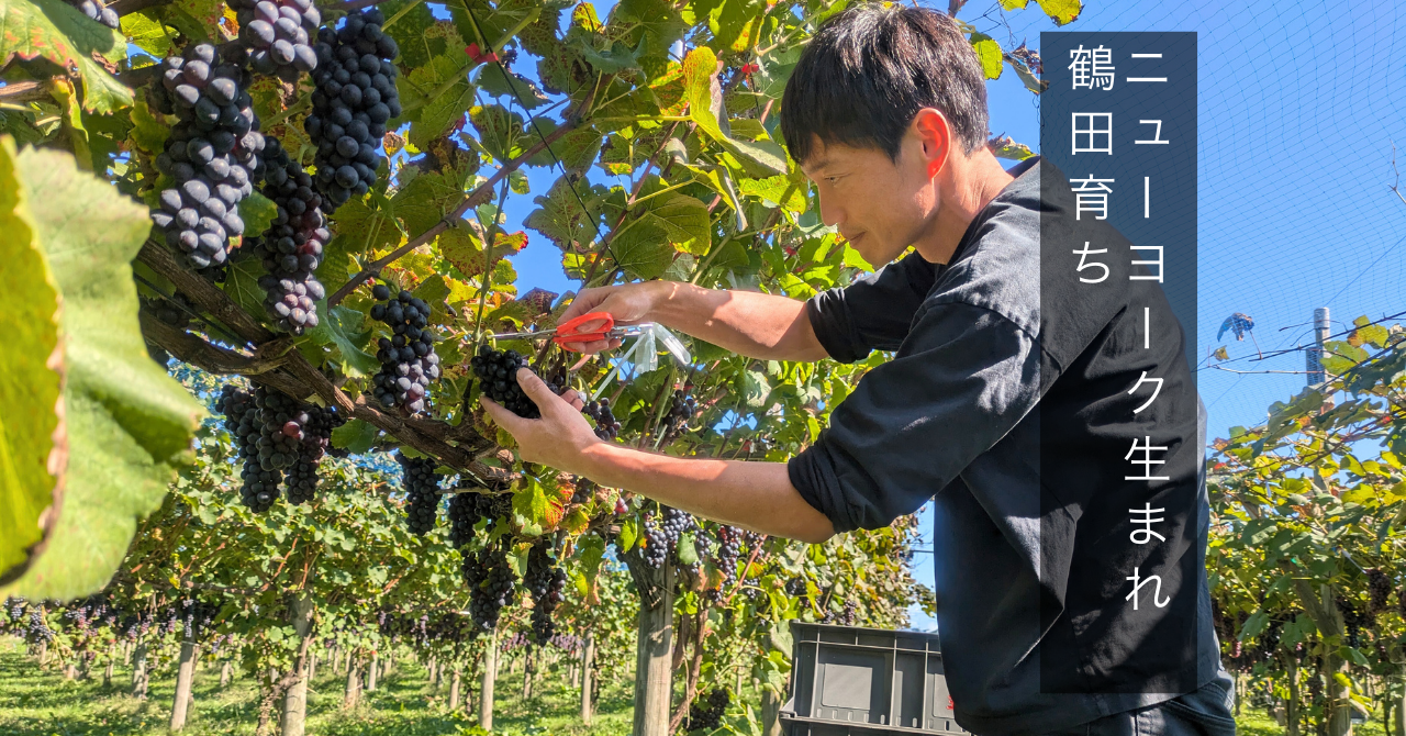 【スチューベンを知る②】スチューベンの起源と、本来の個性