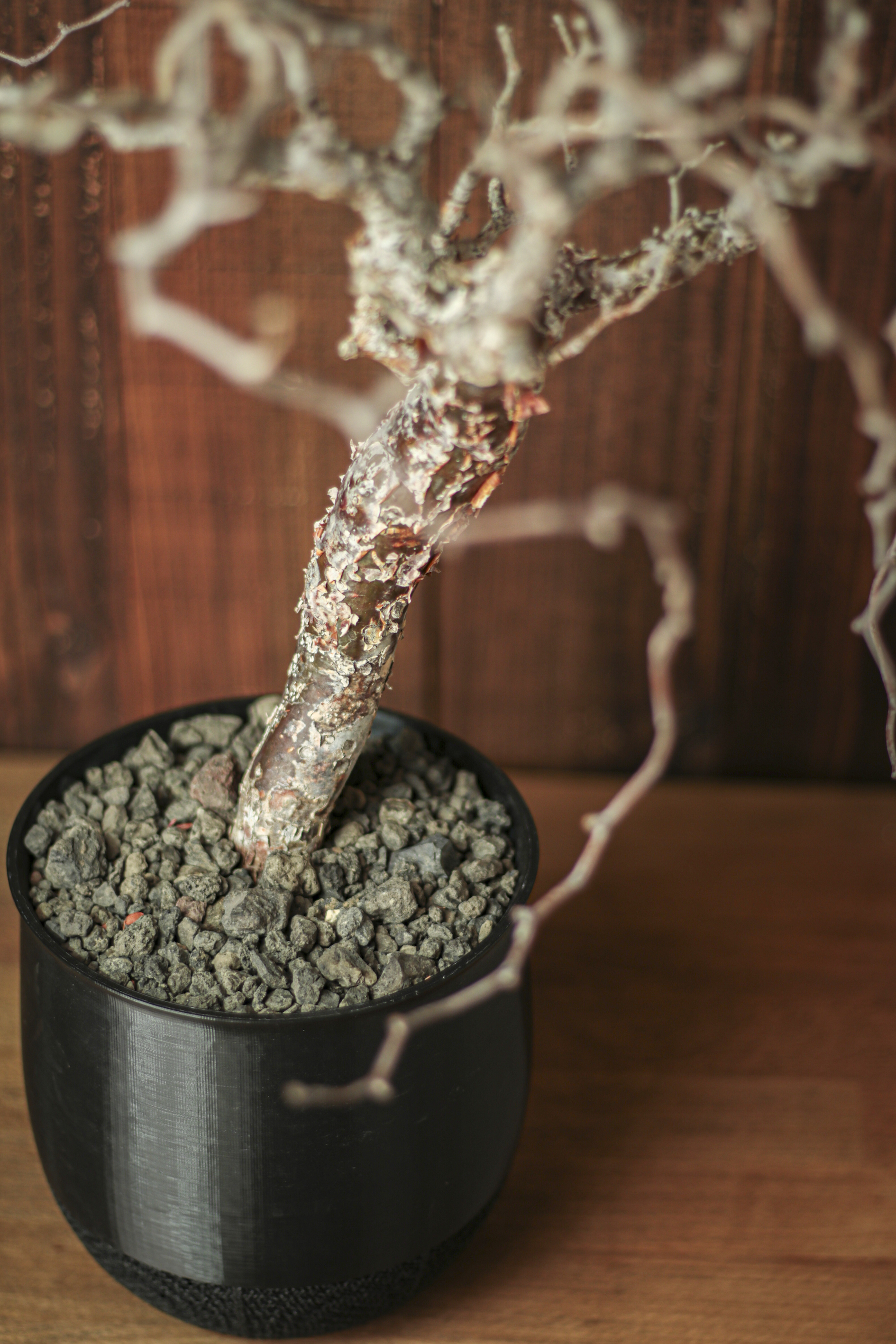 初心者必見！冬の植物育成を成功させる高機能植木鉢の選び方
