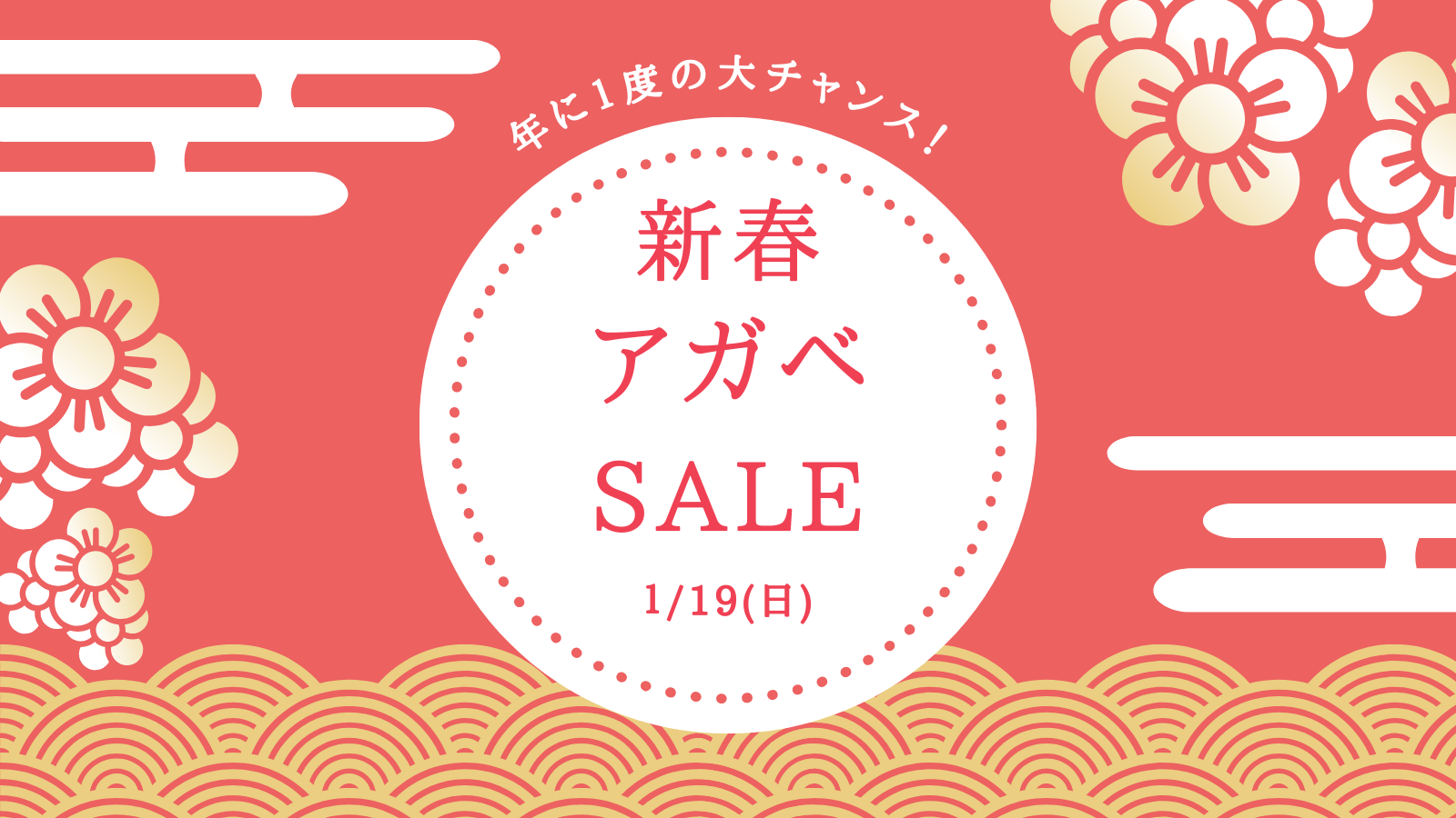 遅ればせながら初売り！アガベ新春セール＆すぱいすかれー‘安癒’コラボ営業のお知らせ