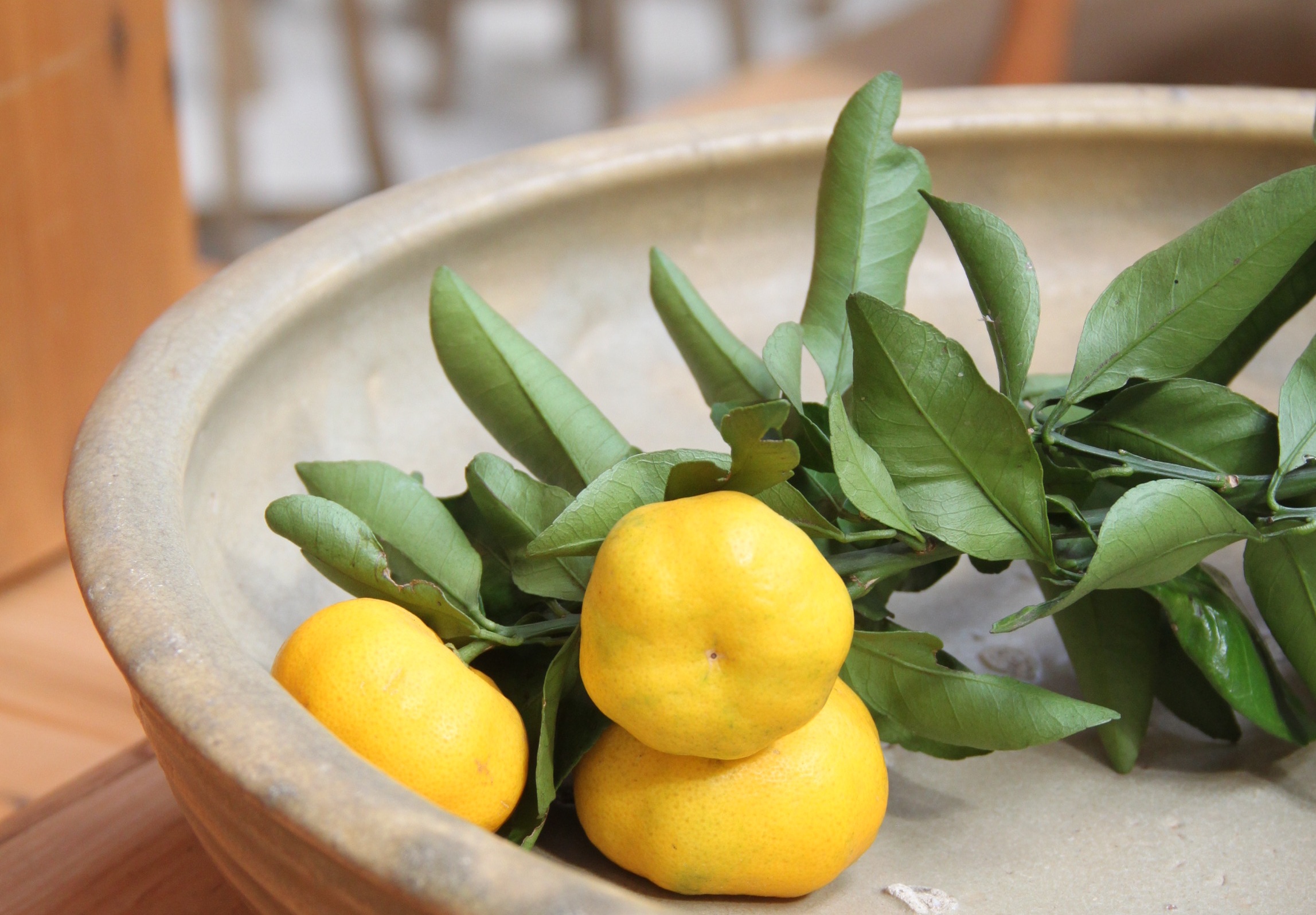 営業日についてのお知らせ(2025年11月)