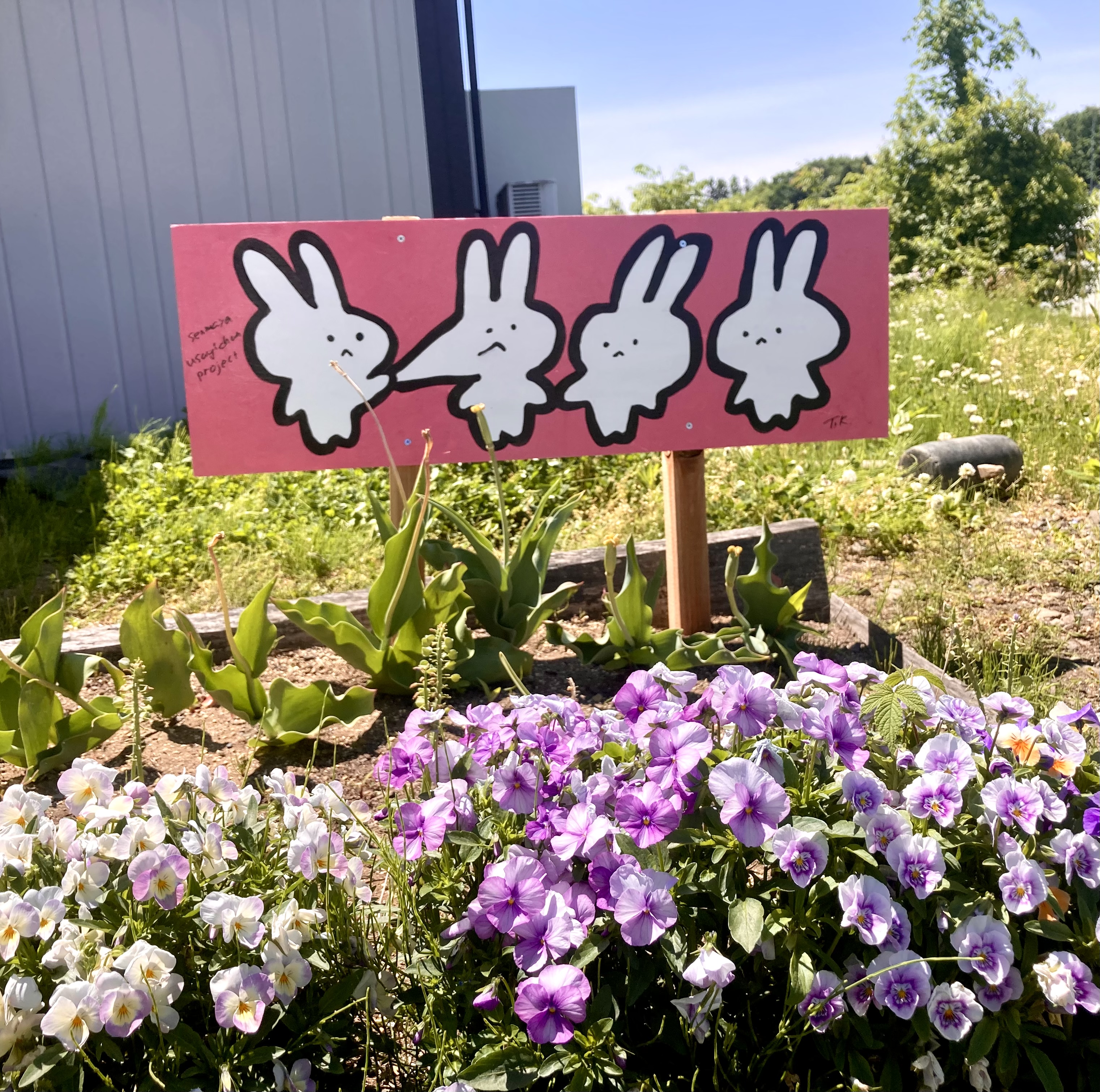 千厩ウサギちゃんプロジェクトからまちおこしを考える