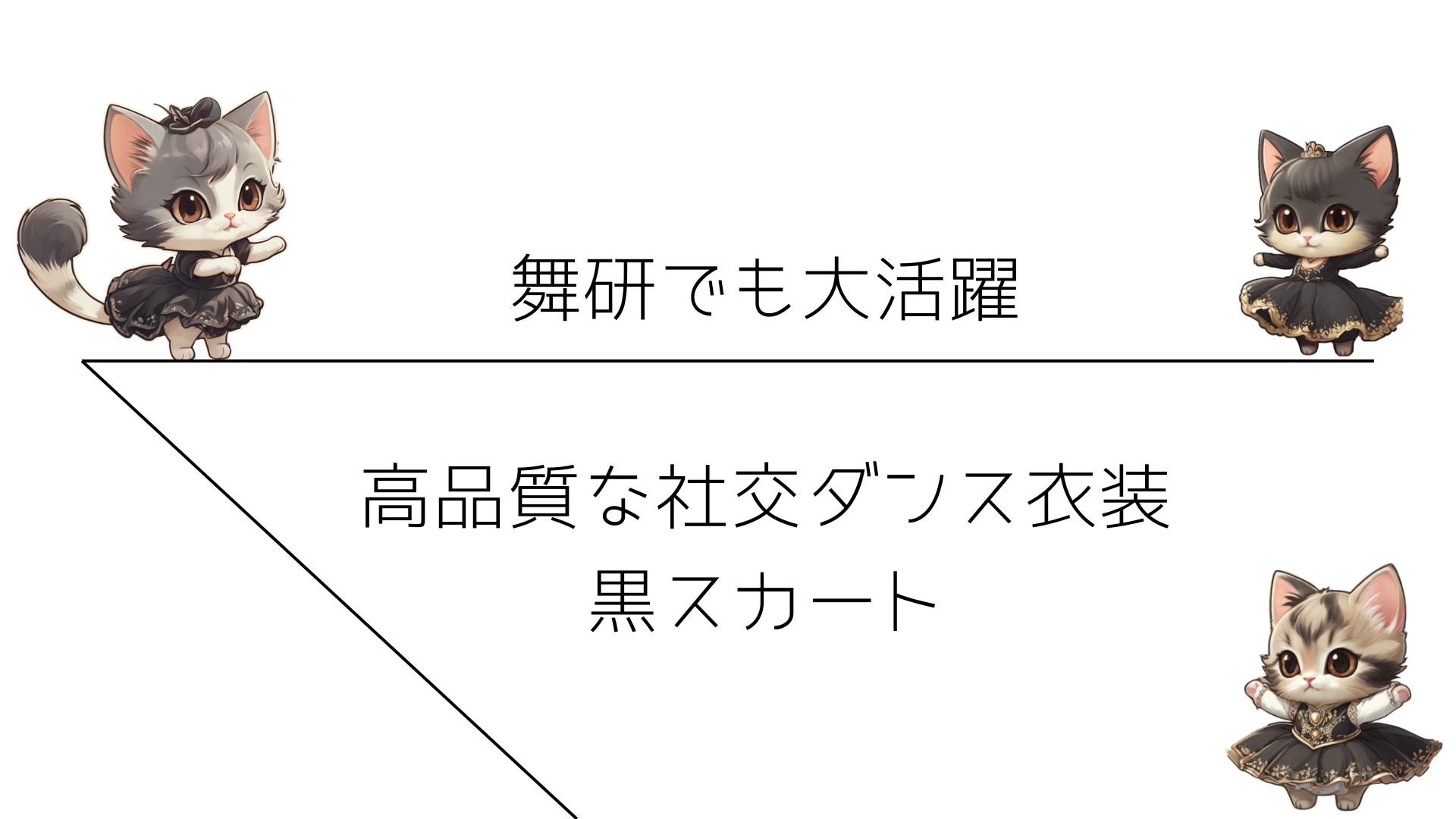 舞研でも大活躍！高品質な社交ダンス衣装　黒スカート
