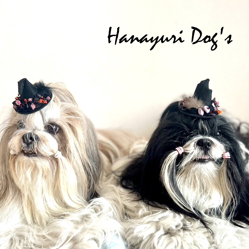 ハロウィンリボン8月30日販売開始