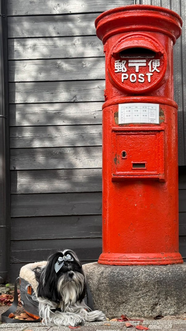 12月30日まで発送致します