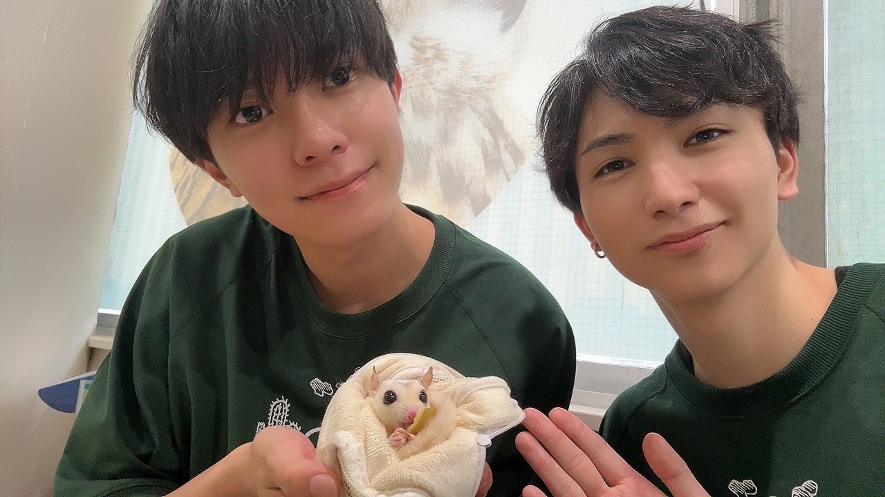 てくてくおさんぽ🐾ボク