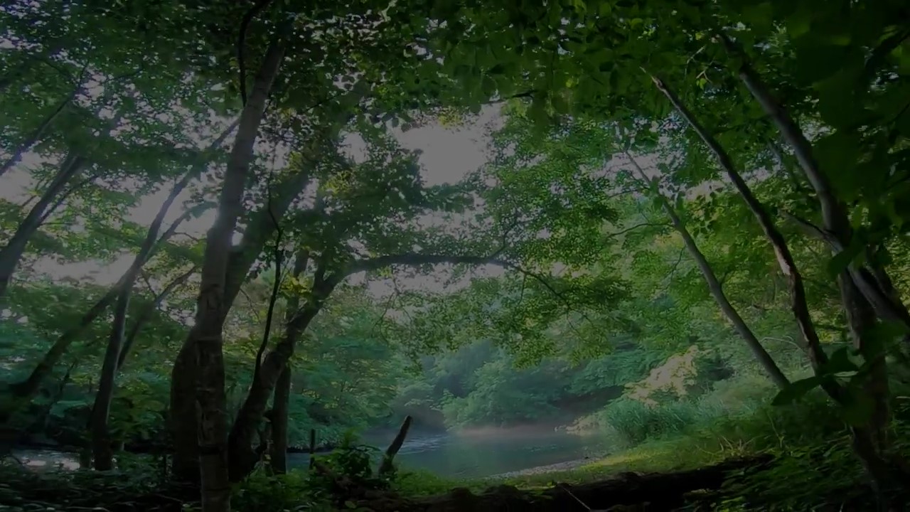 【プレゼント企画】WAYA-craftフォトコンテストのお知らせ