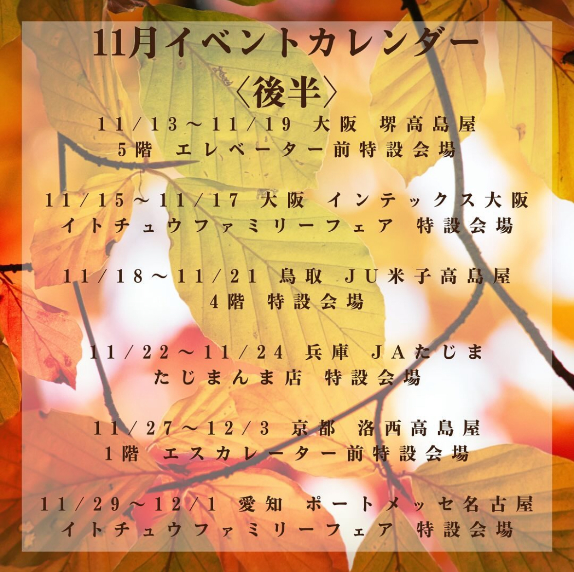 11月後半のスケジュールです