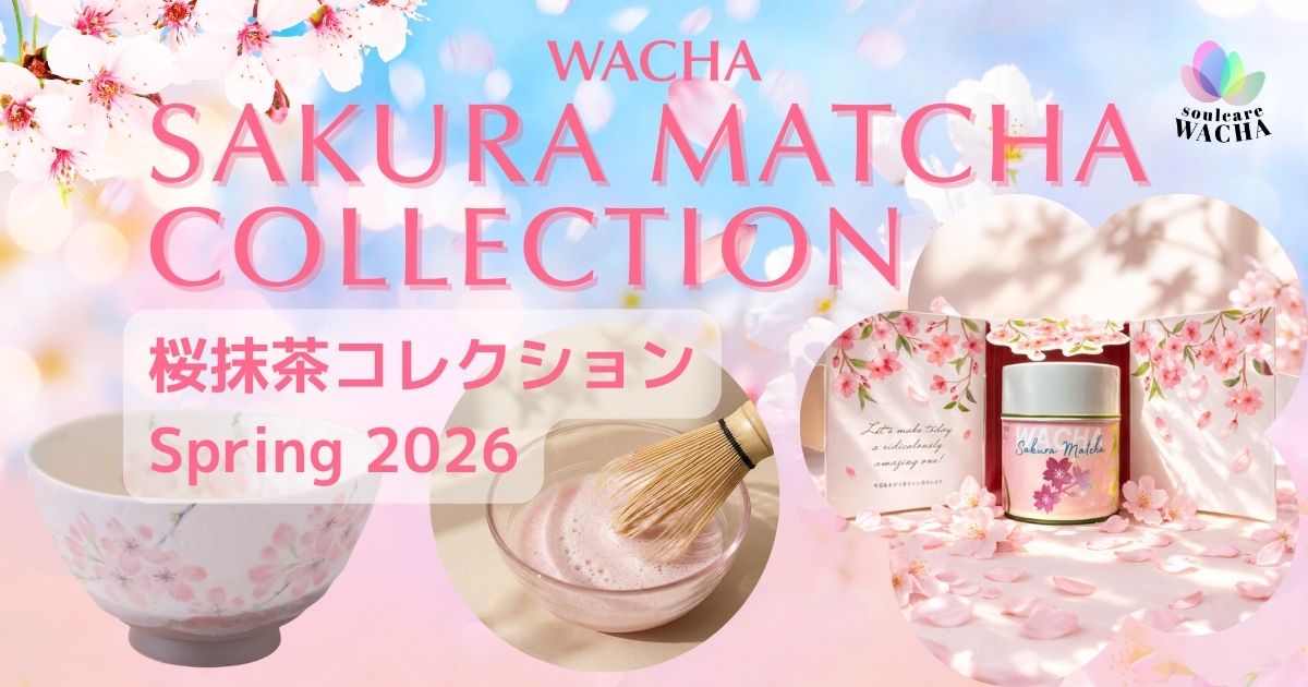 春限定 桜抹茶と花びらギフト｜ピンク抹茶で楽しむお花見