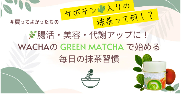 腸活・美容・代謝アップに！WACHAのGreen Matchaで始める毎日の抹茶習慣