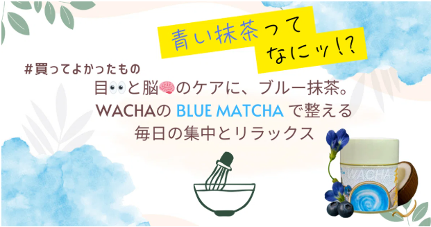 目👀と脳🧠のケアに、ブルー抹茶。WACHAのBlue Matchaで整える毎日の集中とリラックス
