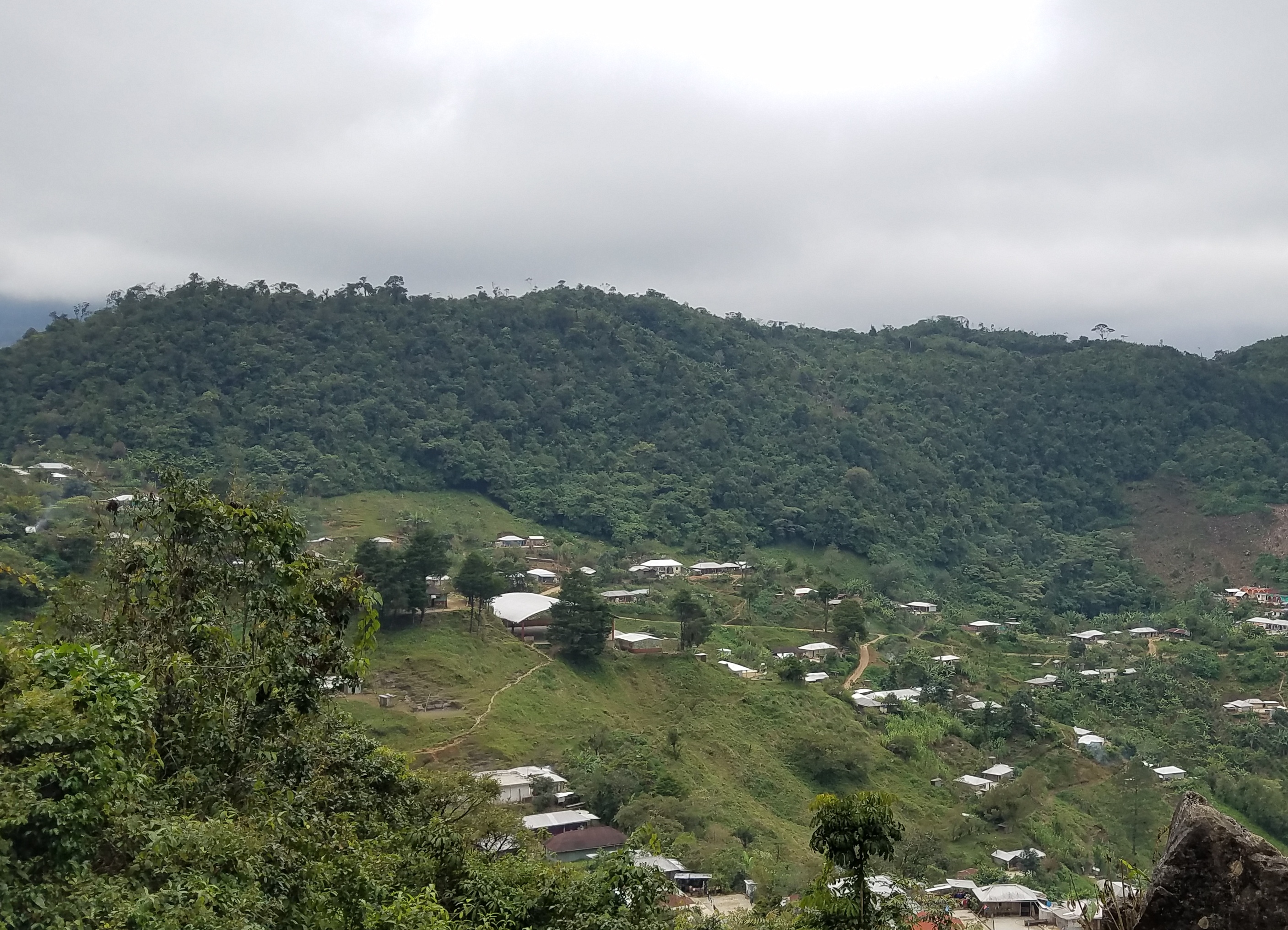 「一杯が未来を支える」