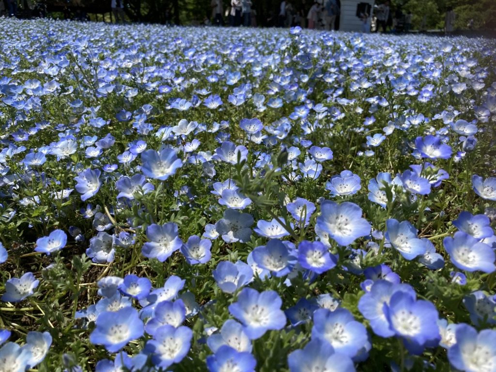 青空の下で、やさしい時間のすごしかた