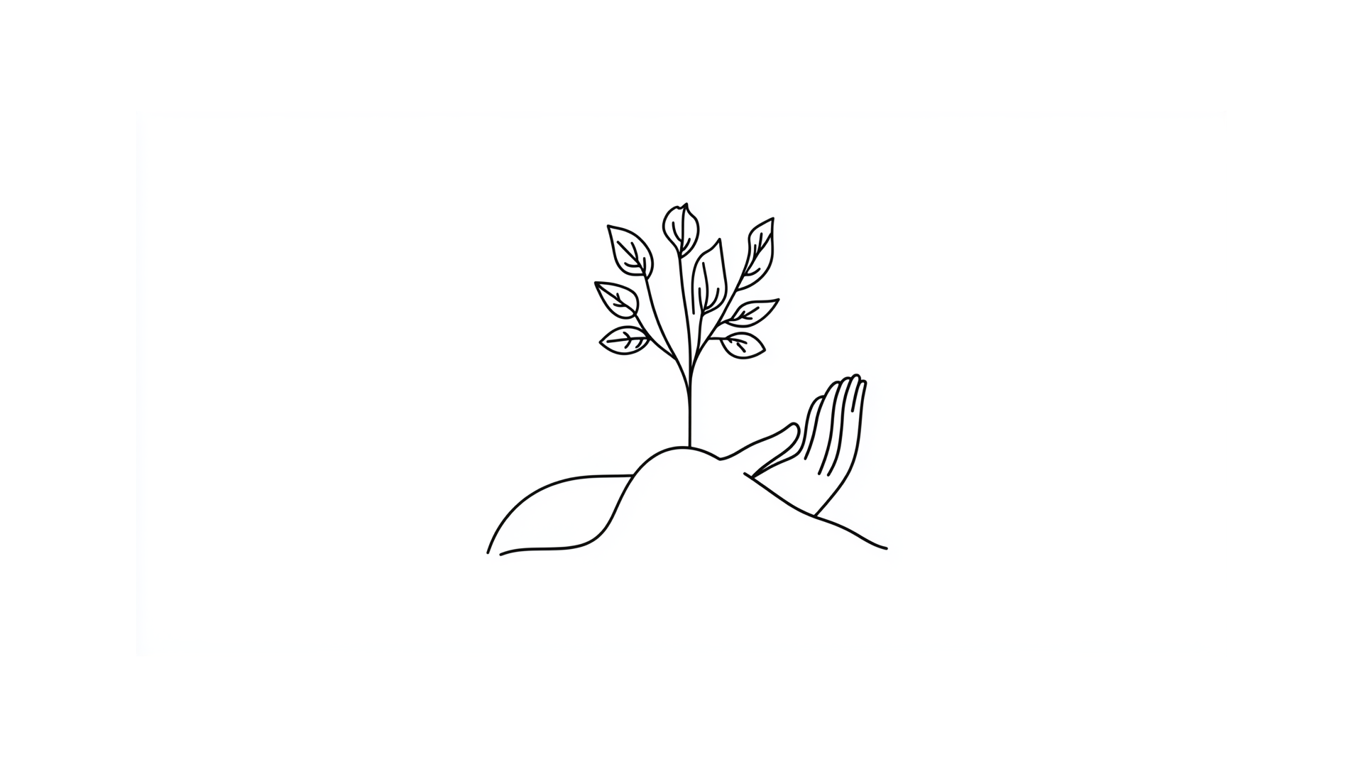Sustainability