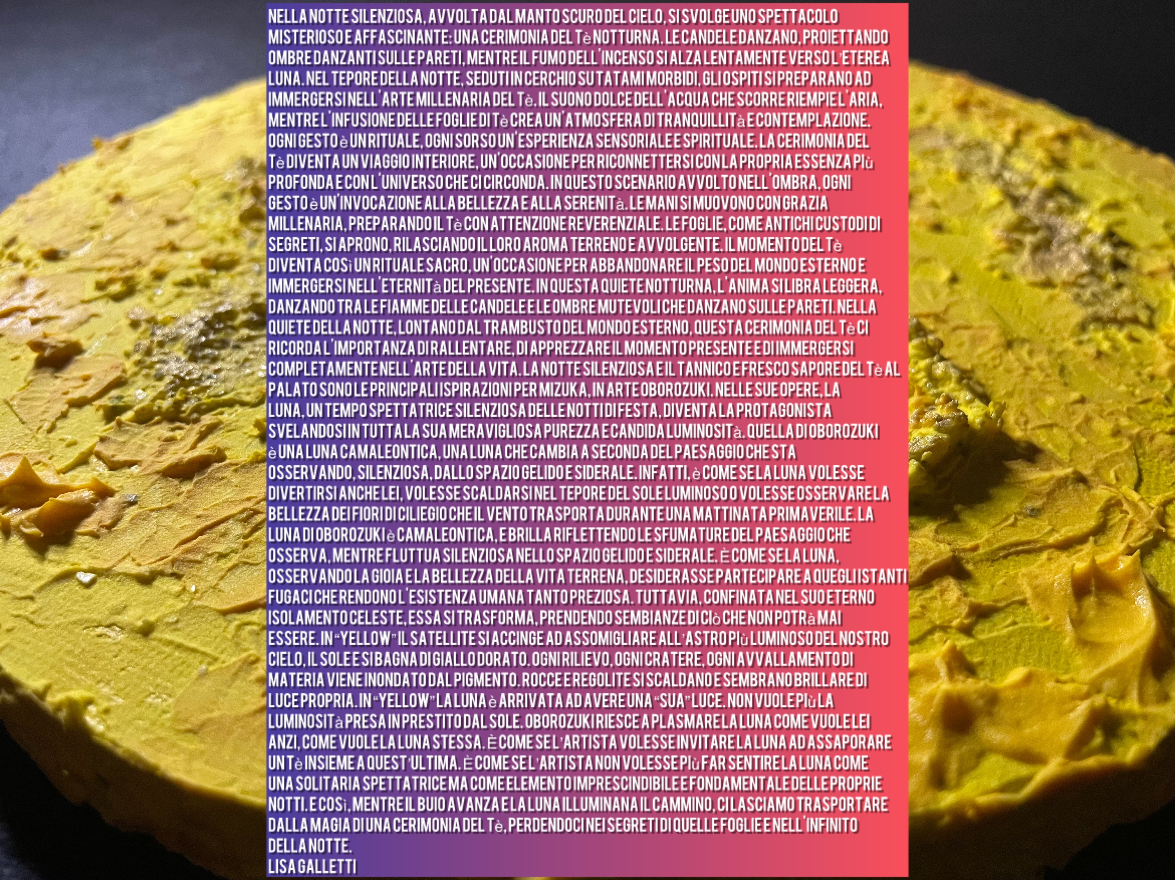 Lisa gallettiによる批評文🌕