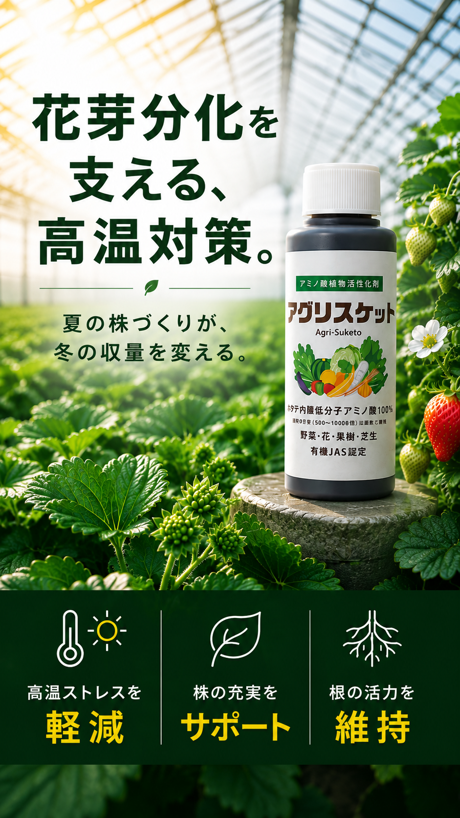 夏の株づくり