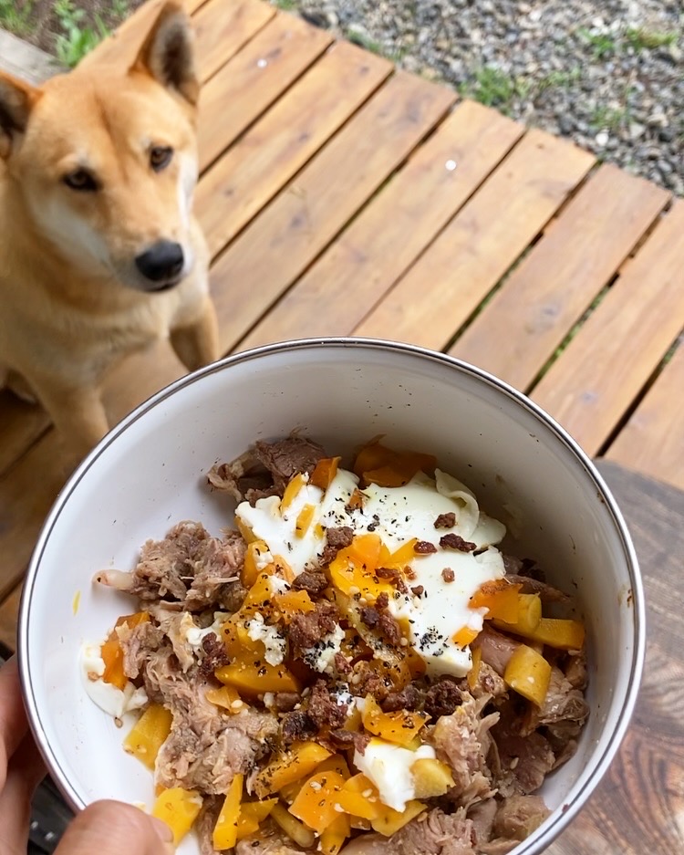 人が作ったごはん