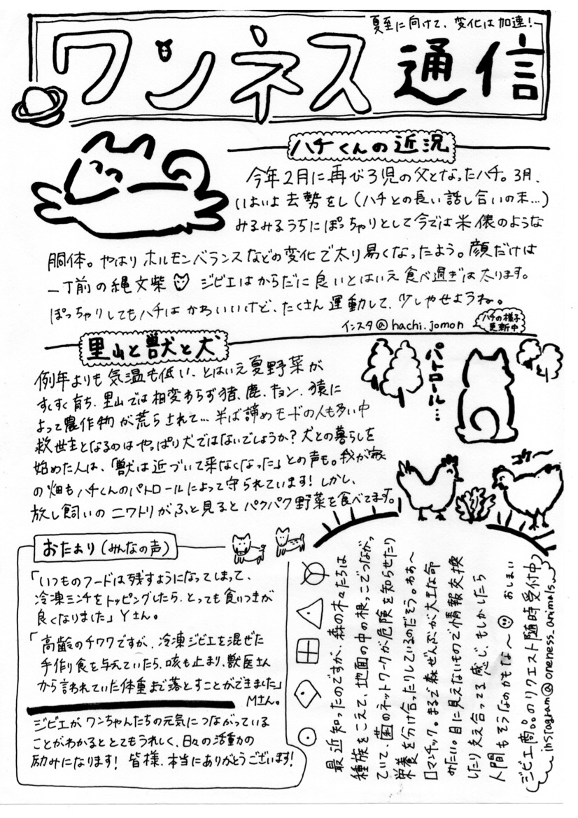 これまでのワンネス通信一挙公開