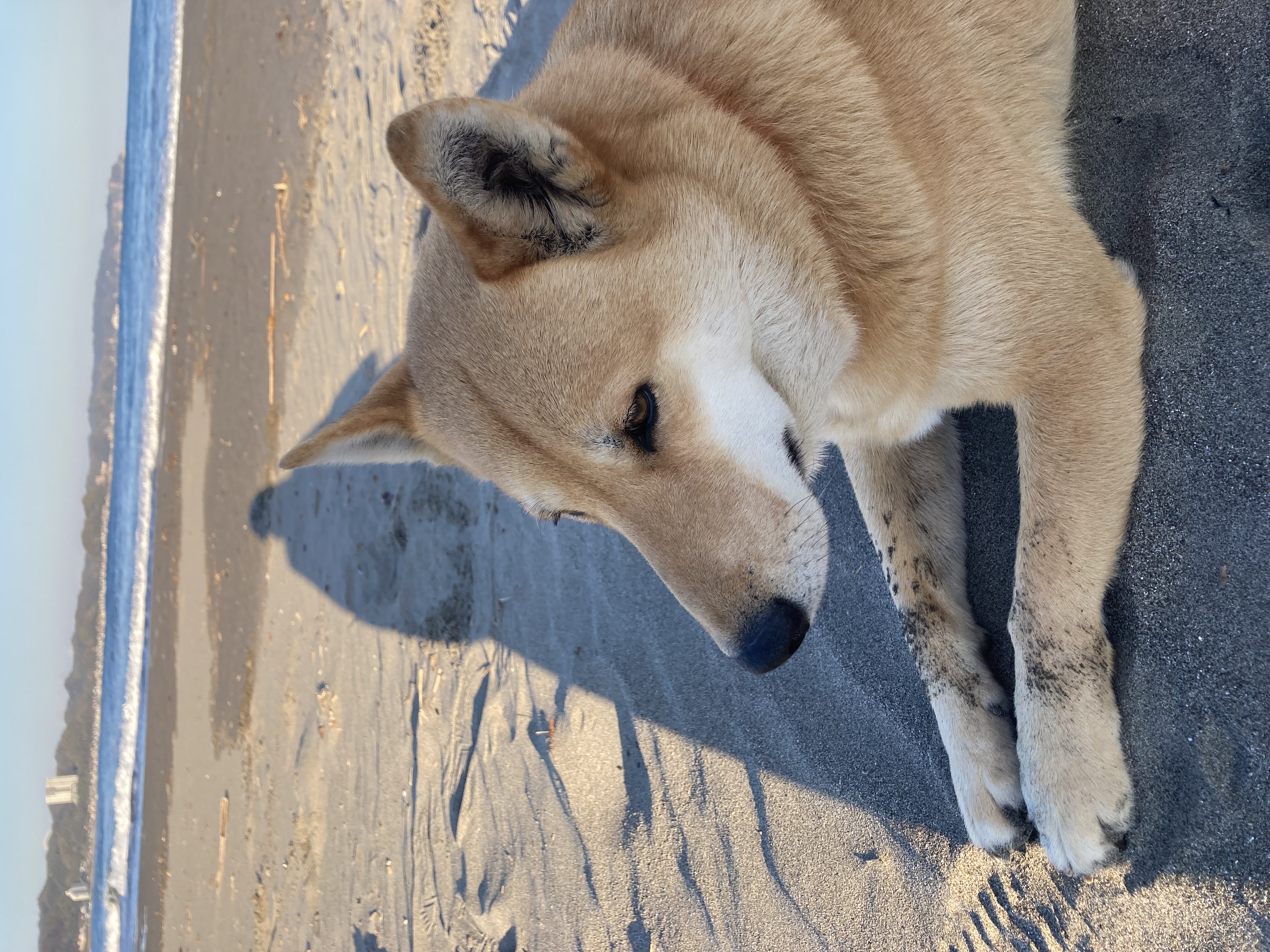 なんで『ワンネス』なの？