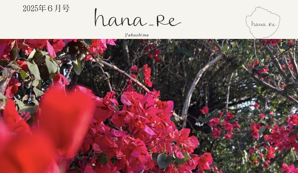 hana_re通信