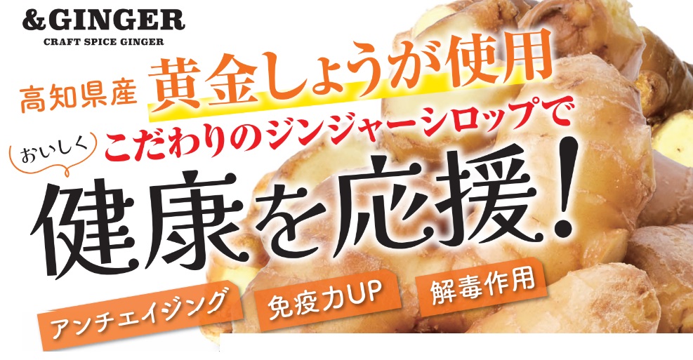 しょうがで健康応援！自由に選べるセット再販中！