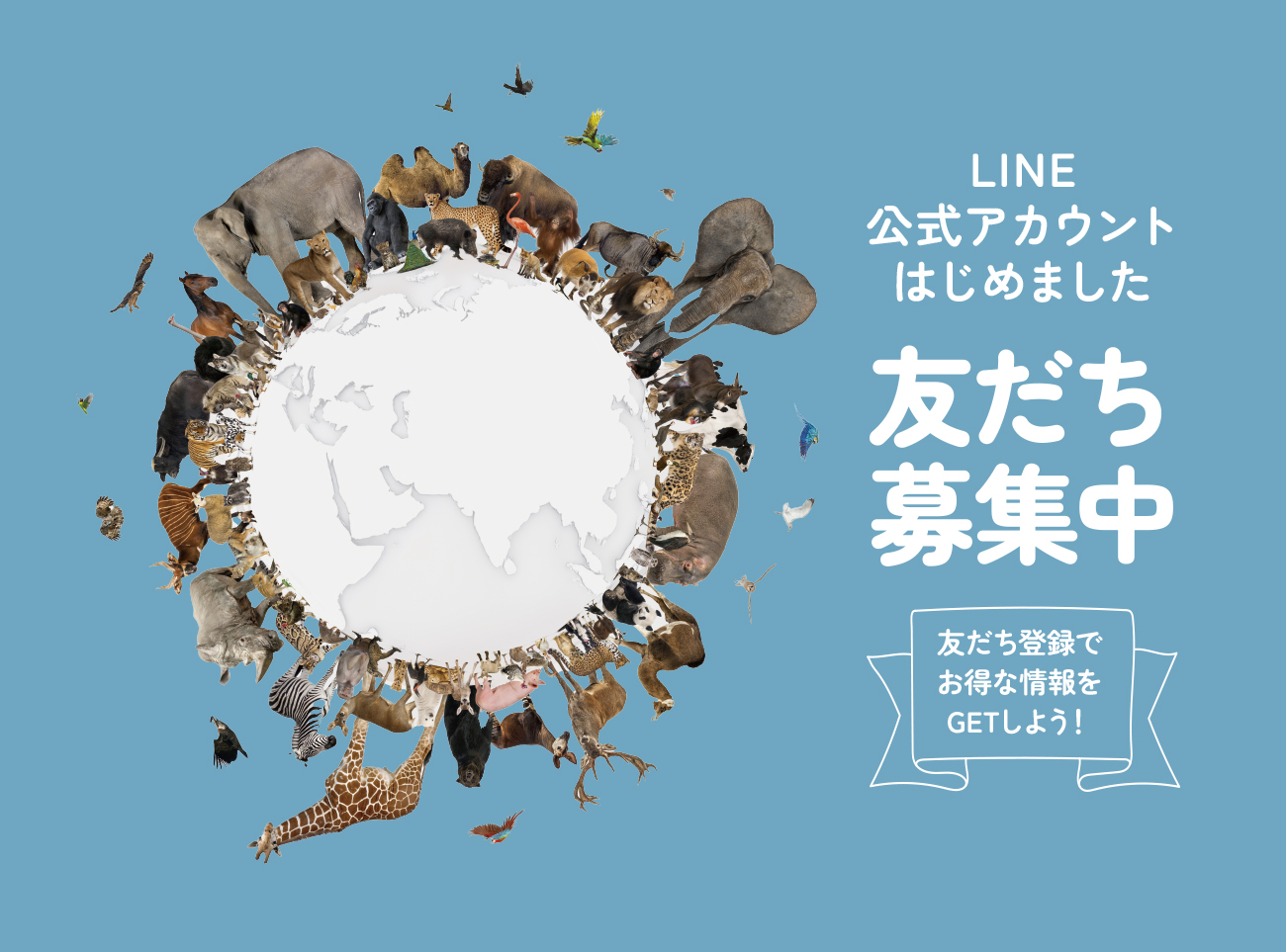 LINE公式アカウントはじめました!