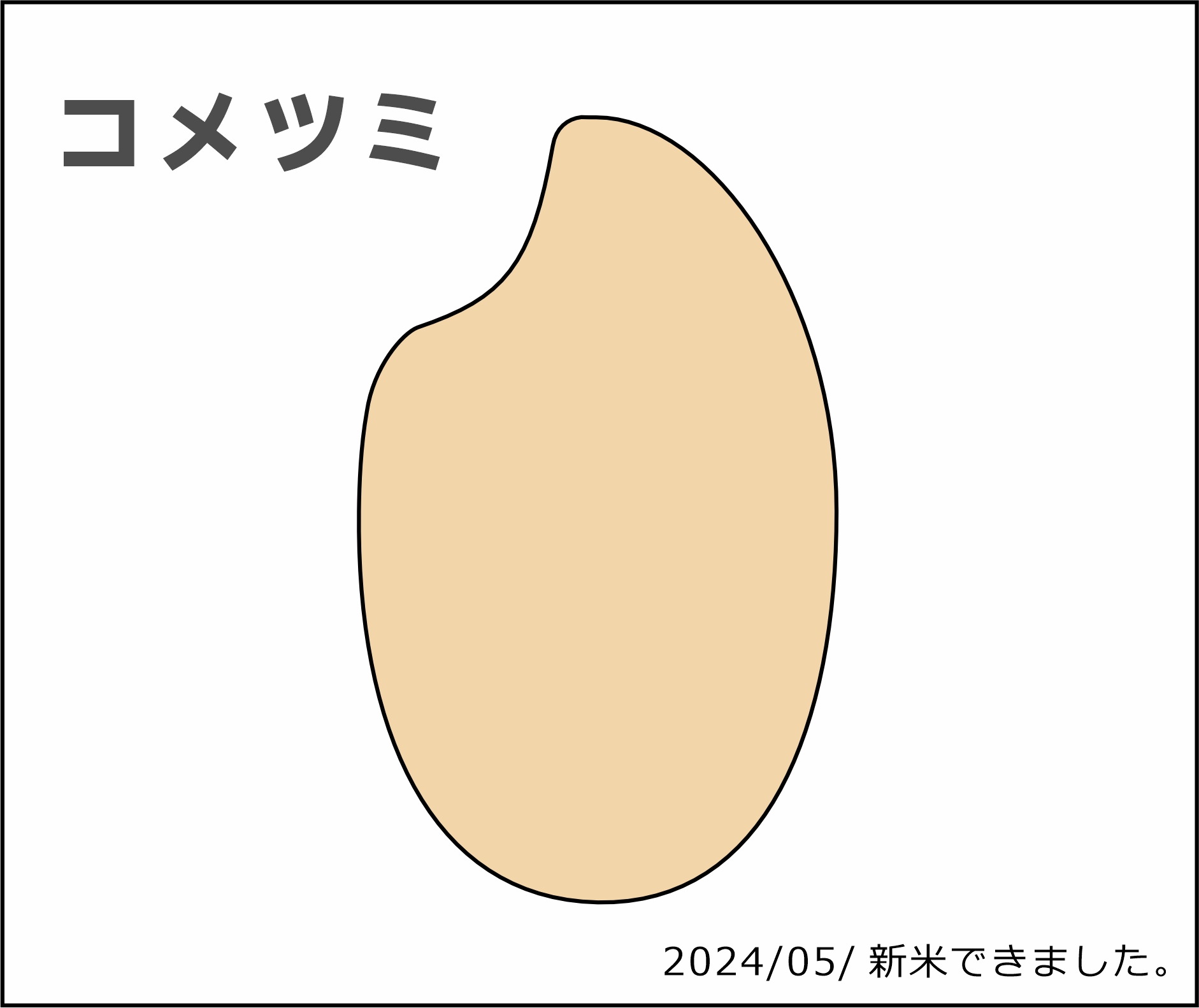 【ShortBLOG】新米できました。