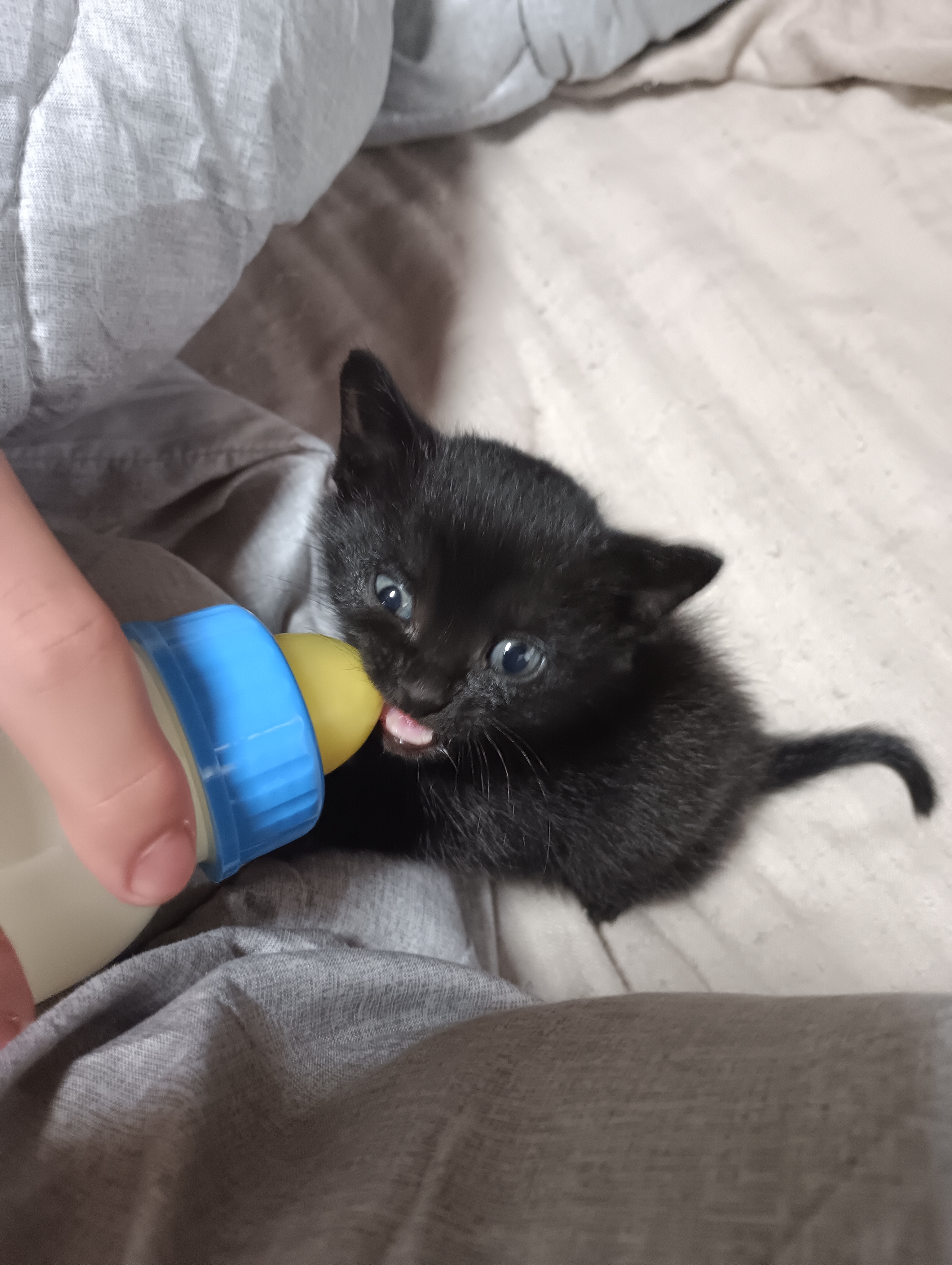 毎週水曜日は水橋酒店の角打が21時まで営業しております。