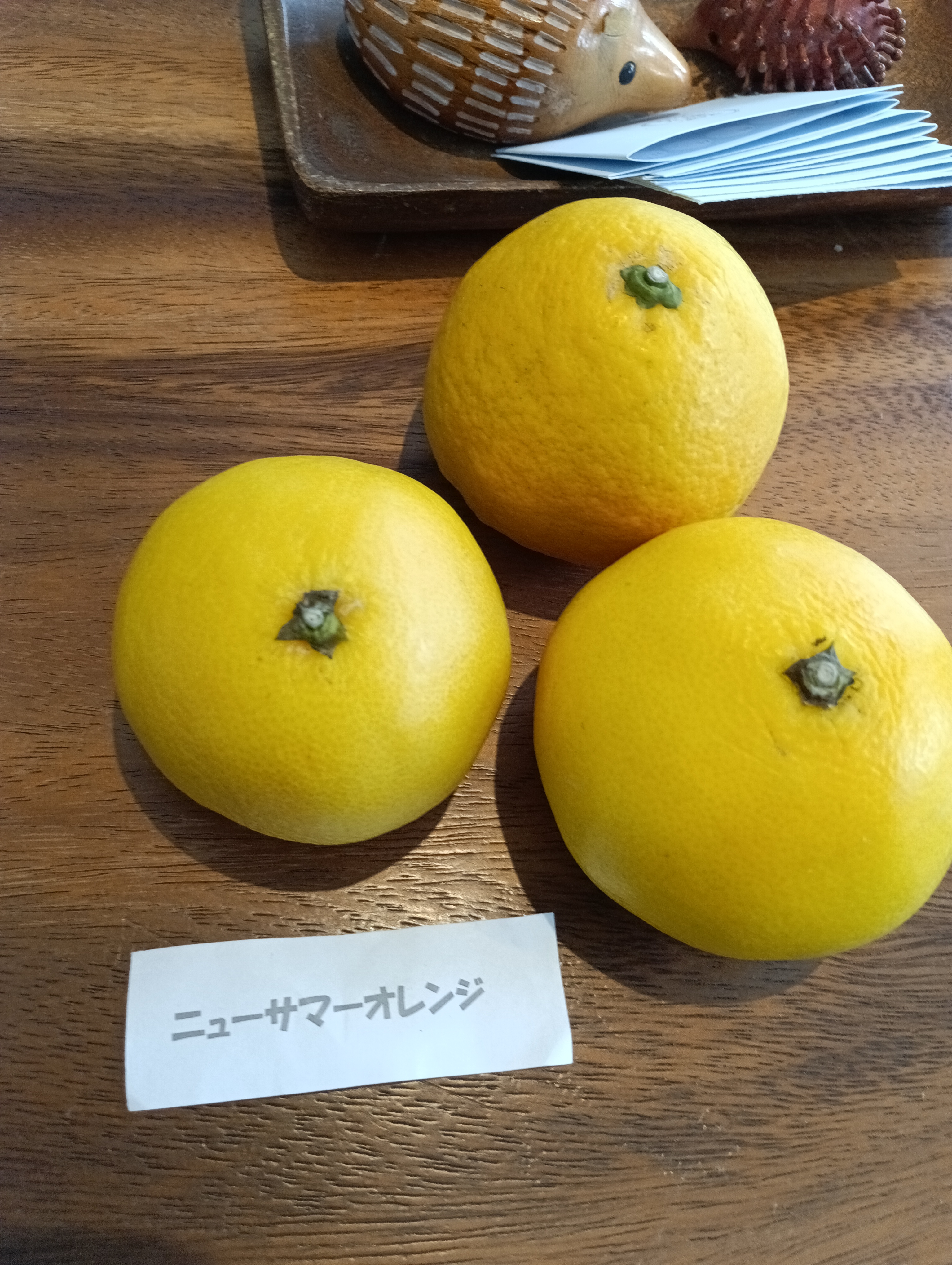 静岡のおいしいオレンジをいただきました。