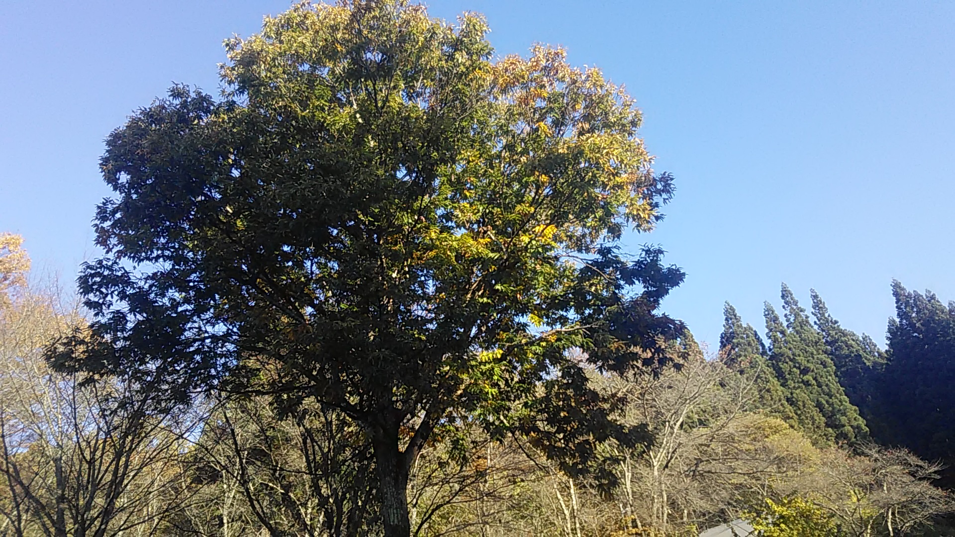 毎週水曜日は水橋酒店の角打ちが２１時まで営業しております。