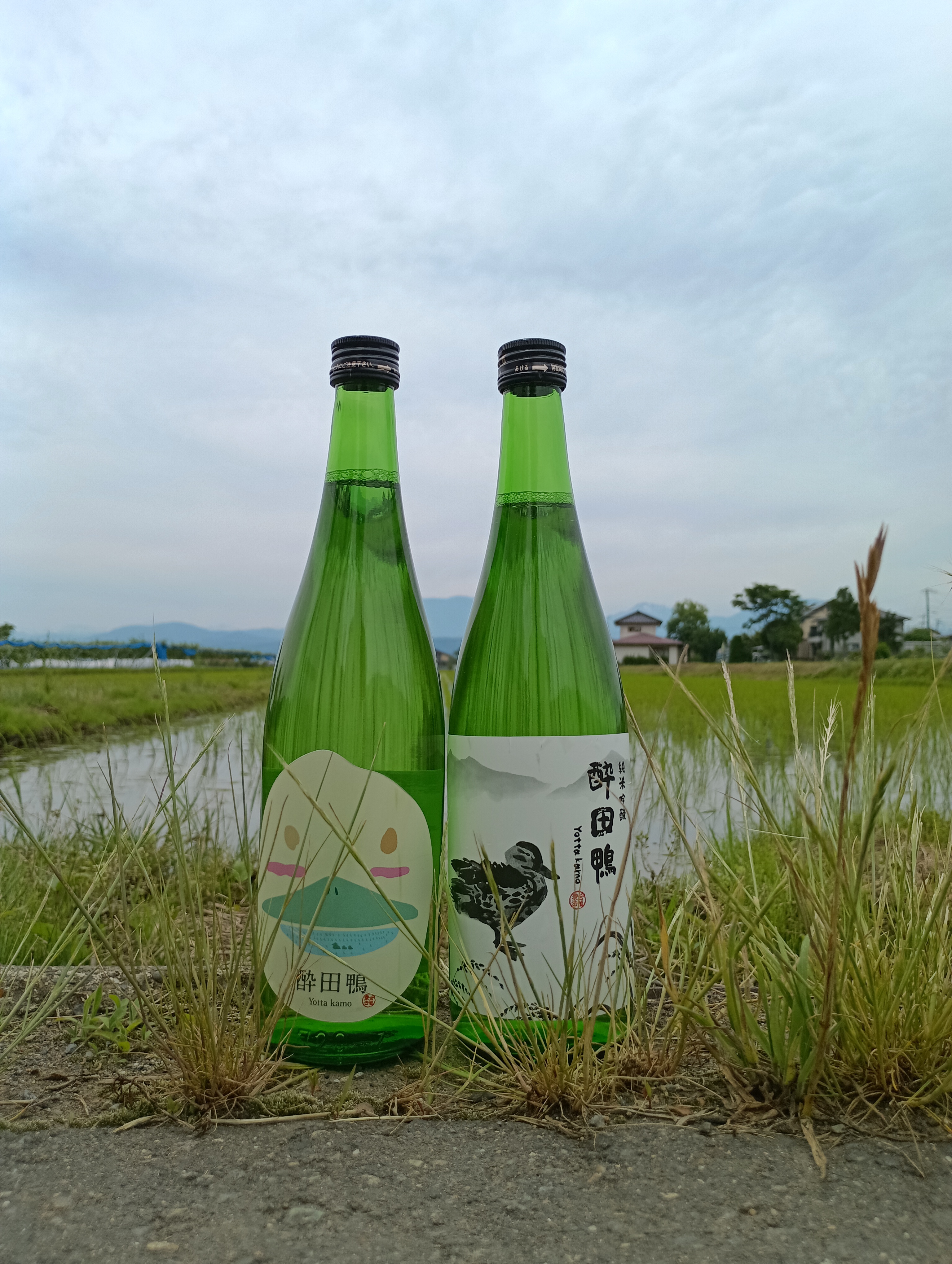 信濃毎日新聞さまに日本酒「酔田鴨」を取り上げていただきました。
