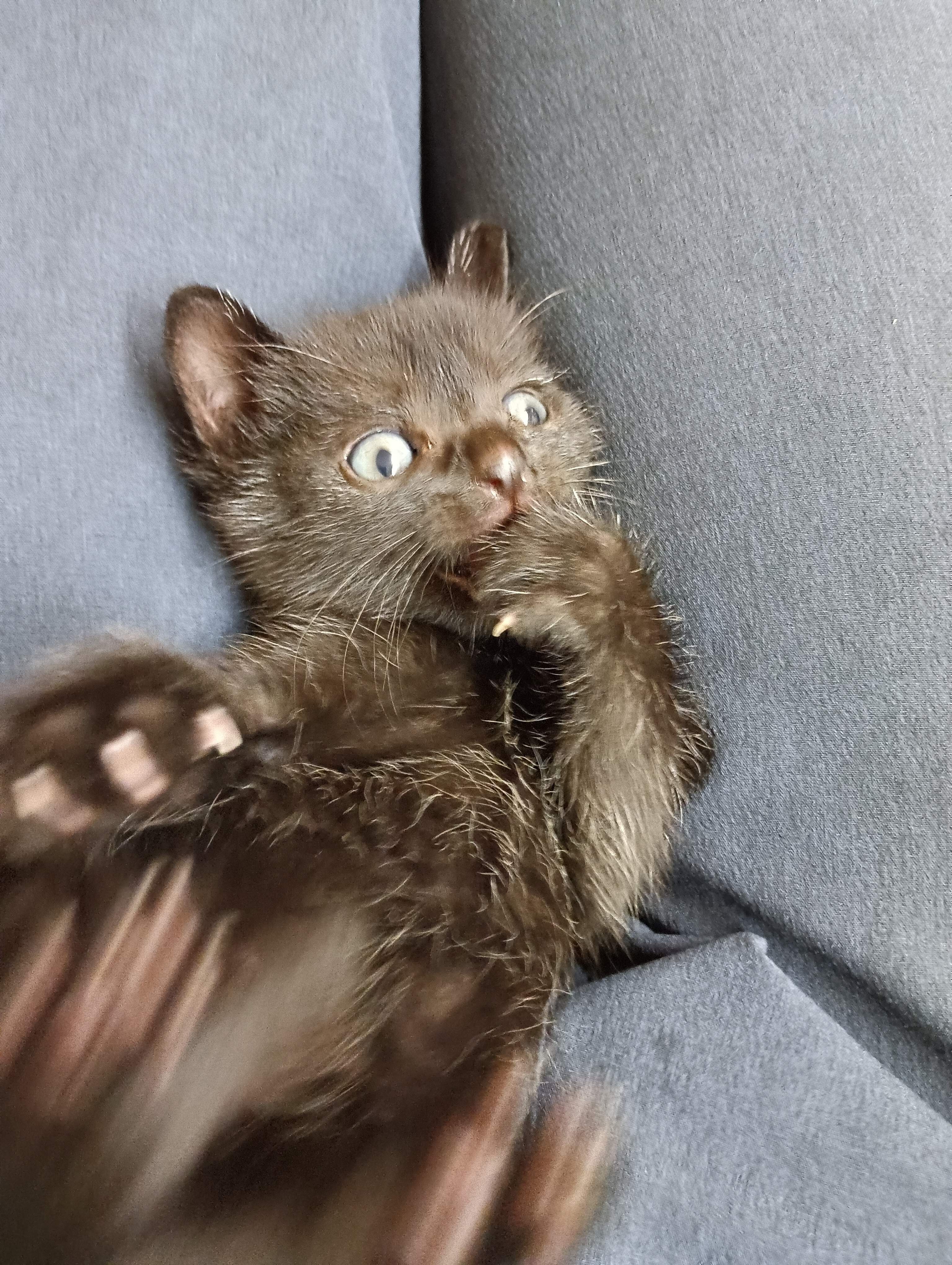 年末年始のお知らせ。