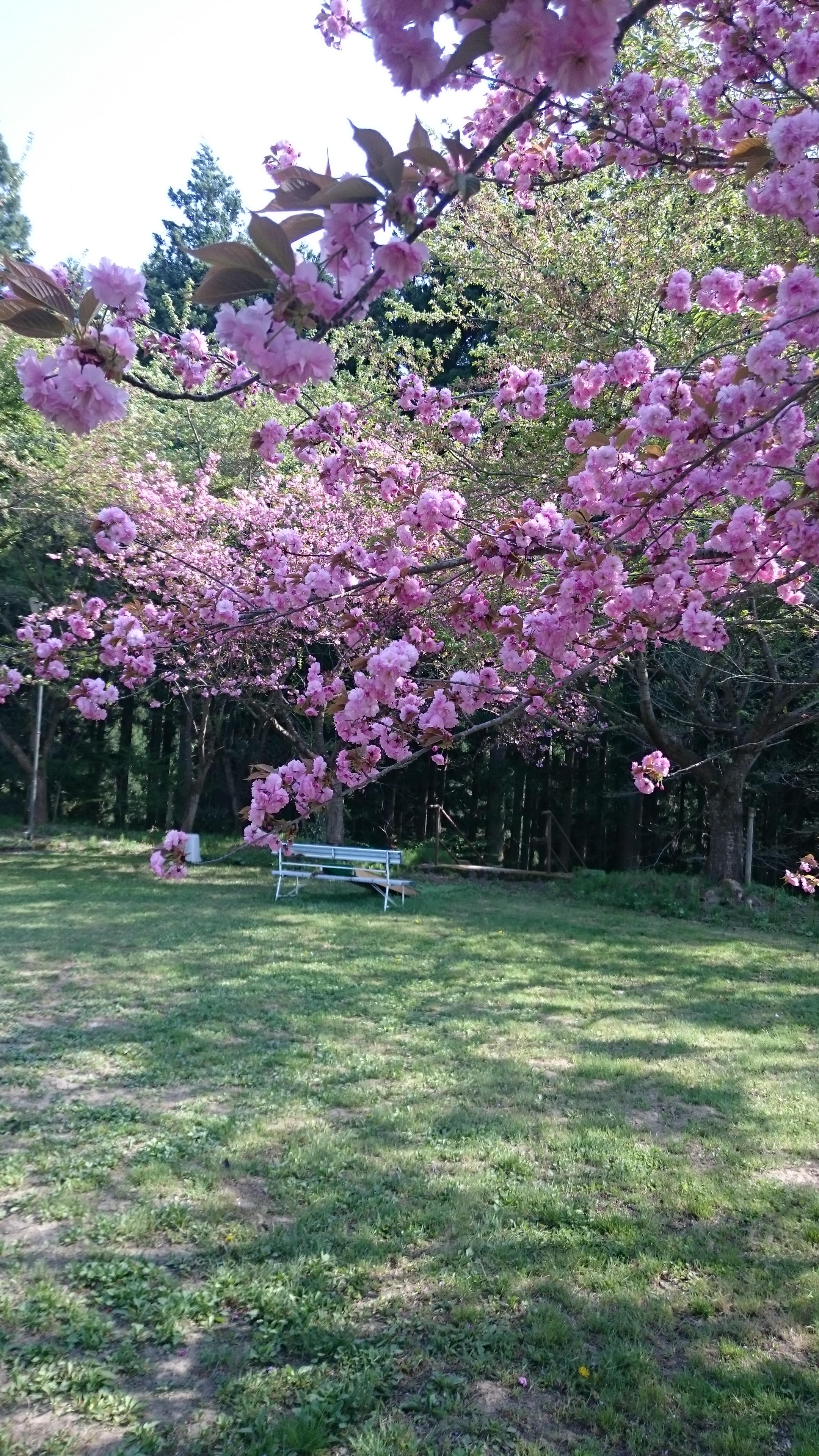 ちいさな同級会