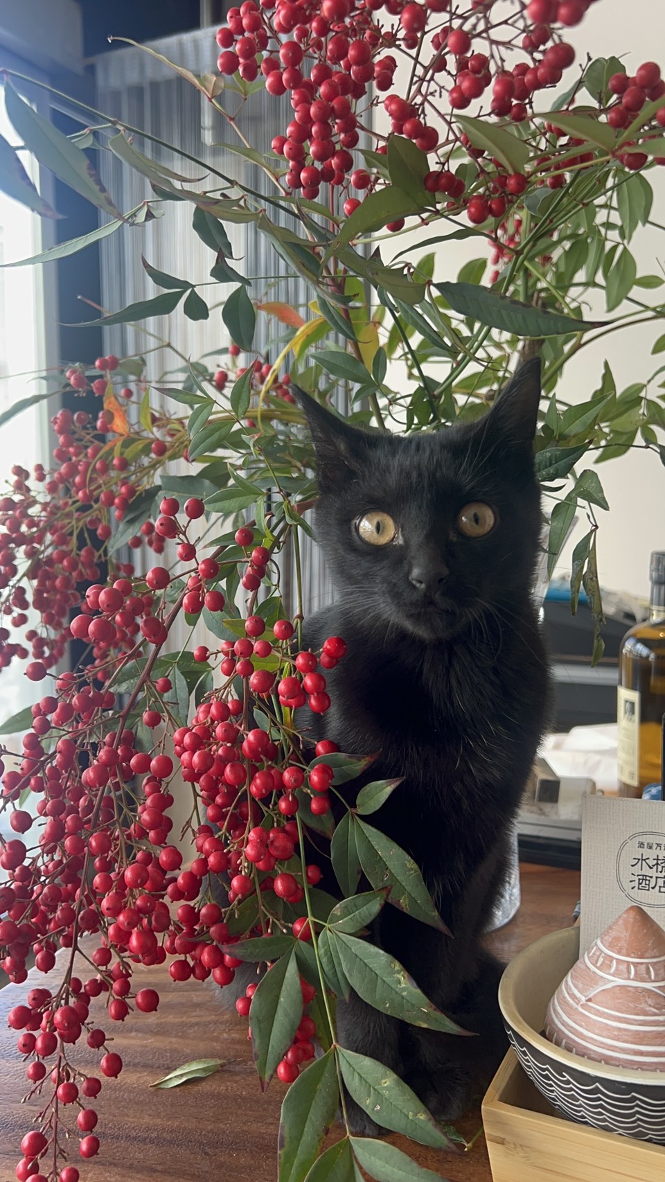 毎週水曜日は水橋酒店の角打・21時まで営業しています。