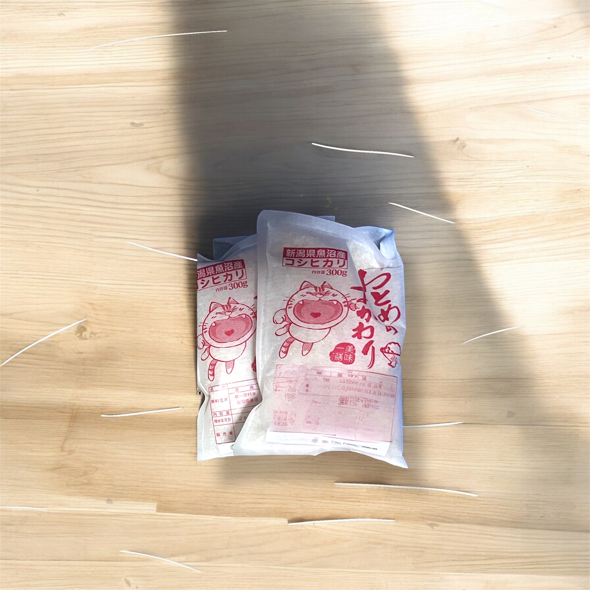 春のキャンペーンを始めます！