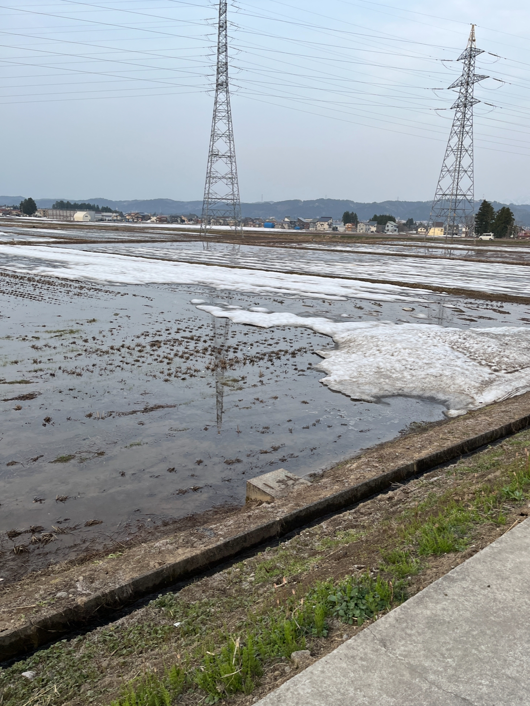 田んぼの雪もあと少し