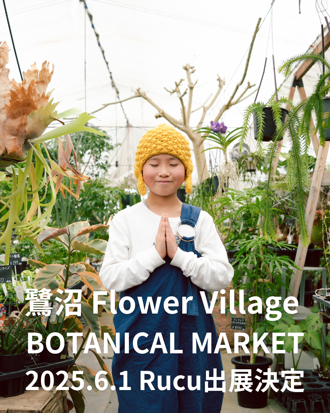 🌿BOTANICAL MARKET 出展のお知らせ🪷