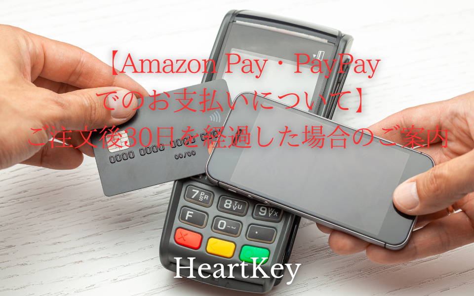 【Amazon Pay・PayPayでのお支払いについて】ご注文後30日を経過した場合のご案内