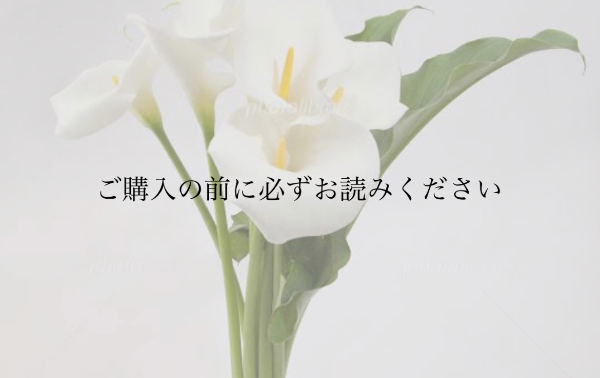 ご購入の前に必ずご一読ください