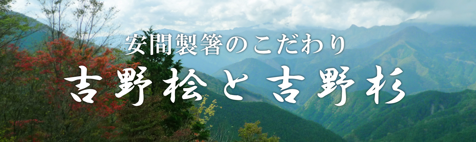 吉野桧と吉野杉の割り箸について