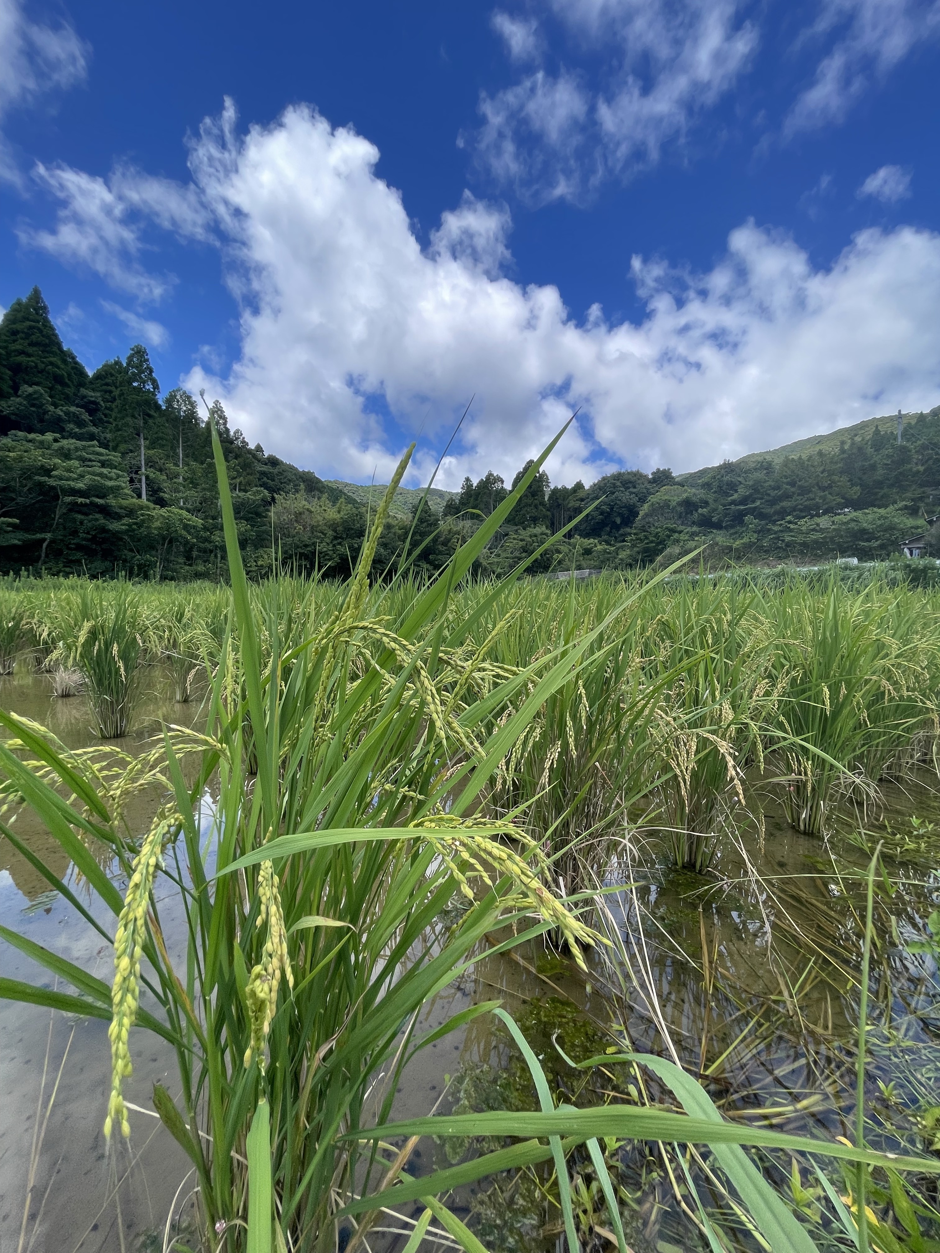 本で読んだ景色が、目の前にありました。