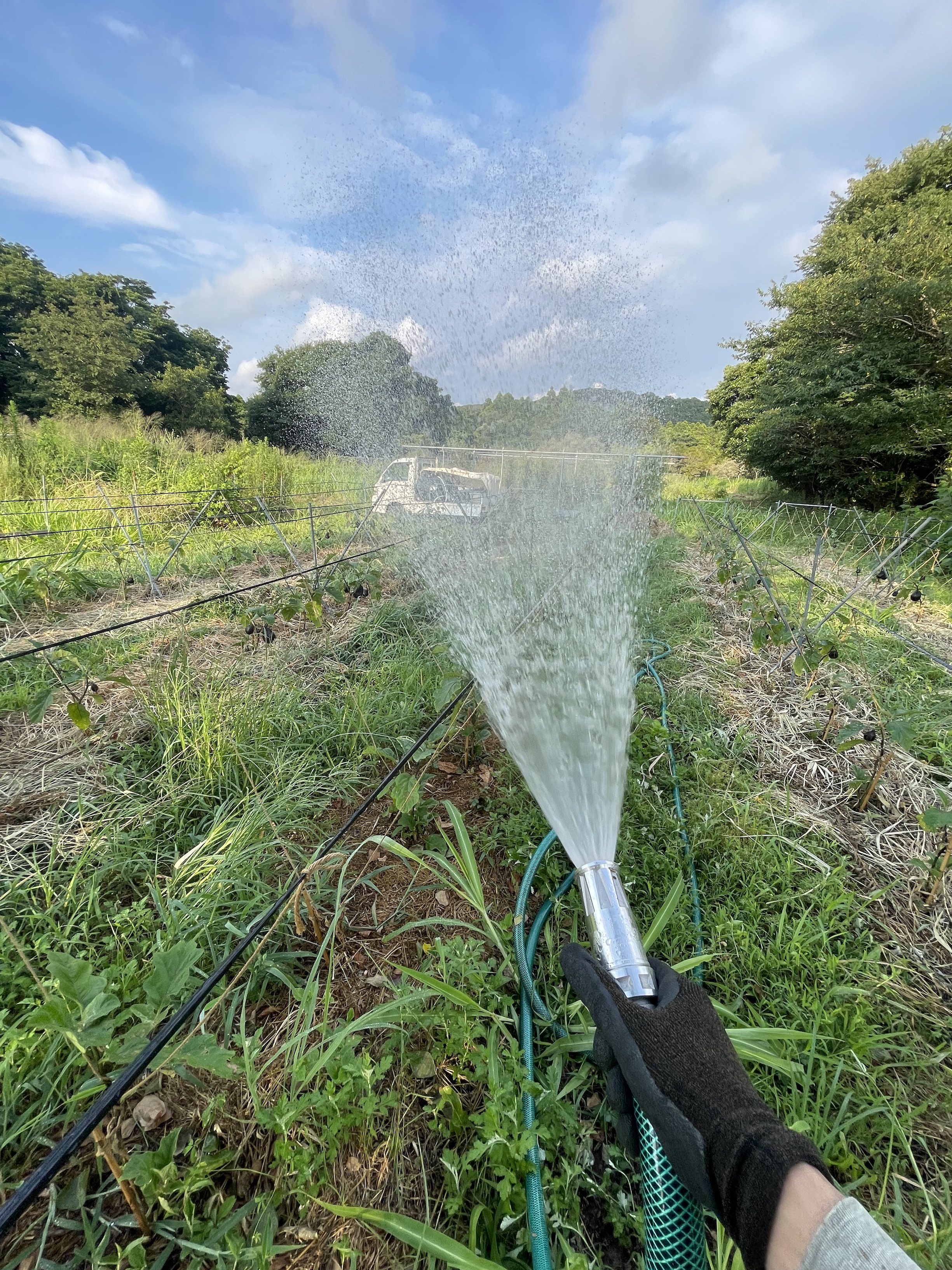 焼け石に水。それでも水を運ぶ。
